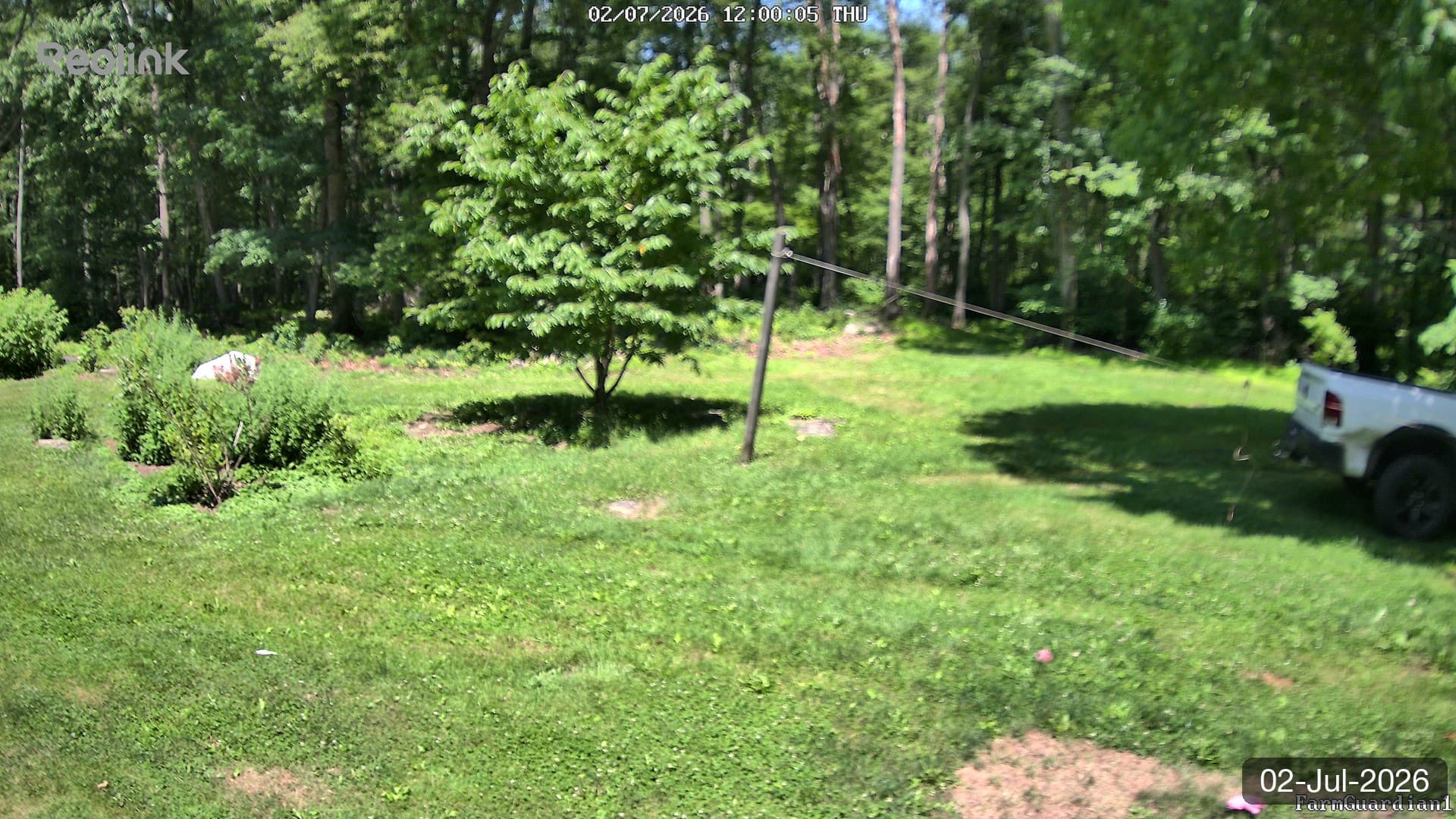 Yard on 02-Jul-2026, Noon