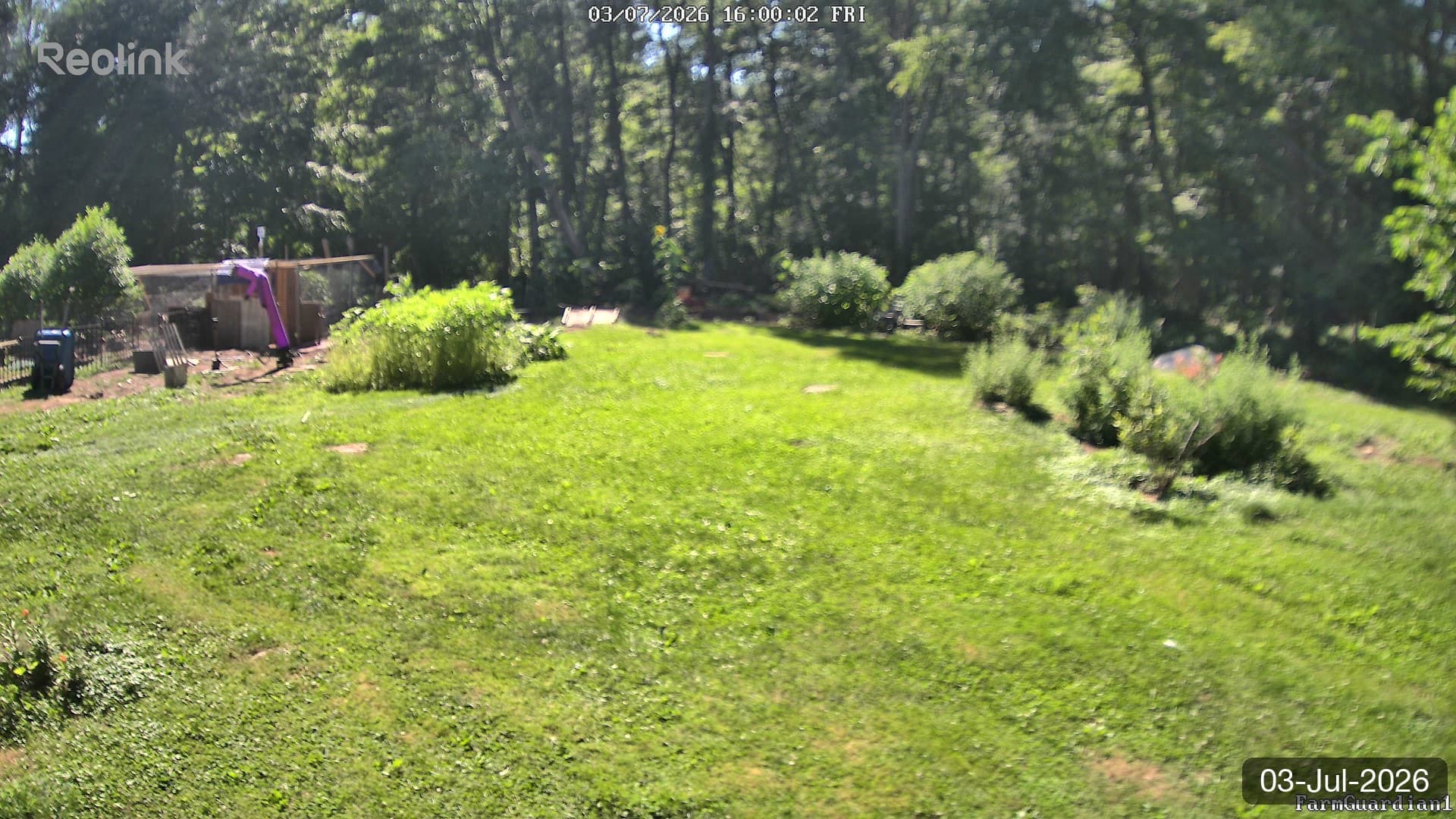 Yard on 03-Jul-2026, Evening