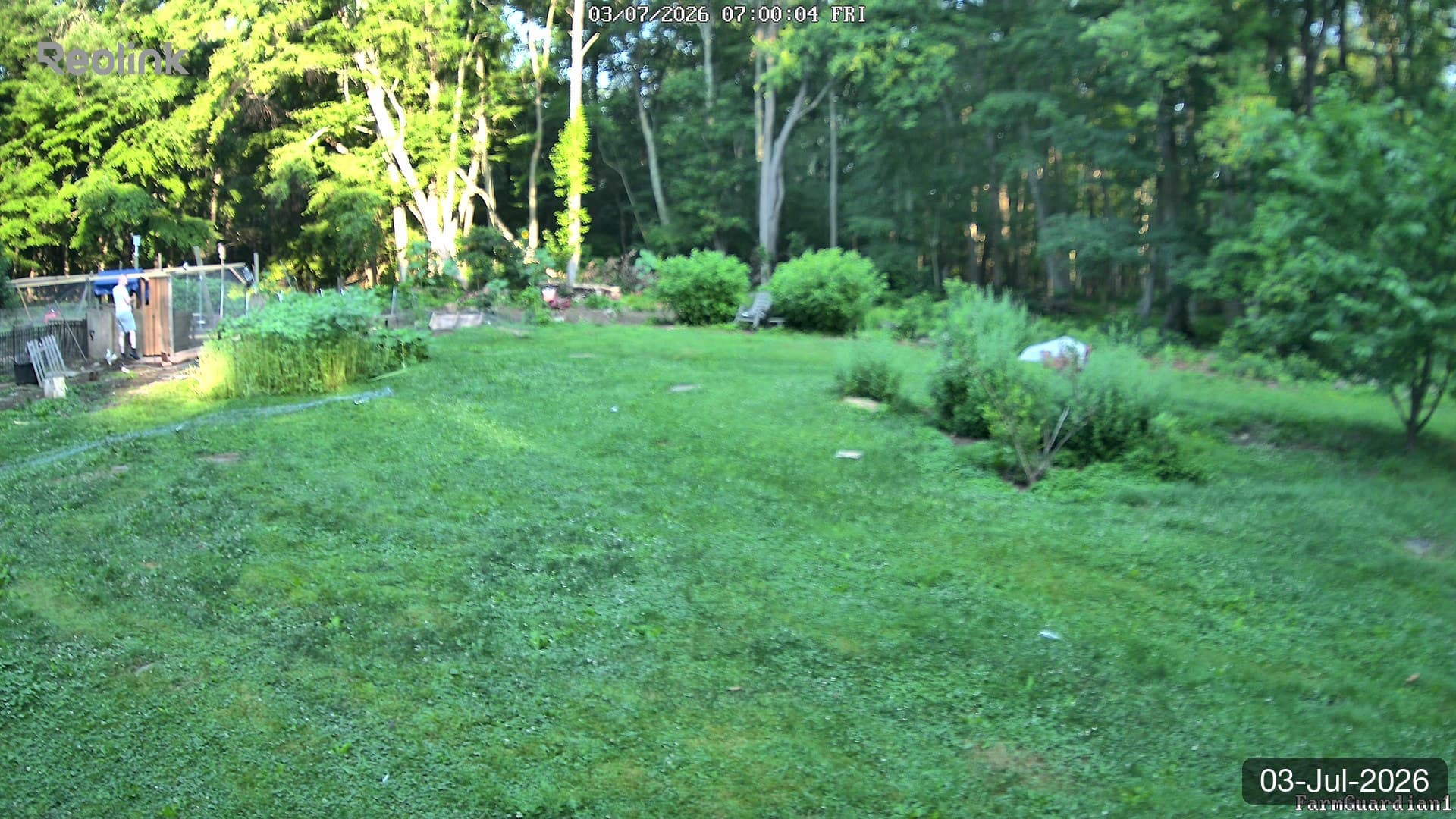 Yard on 03-Jul-2026, Morning