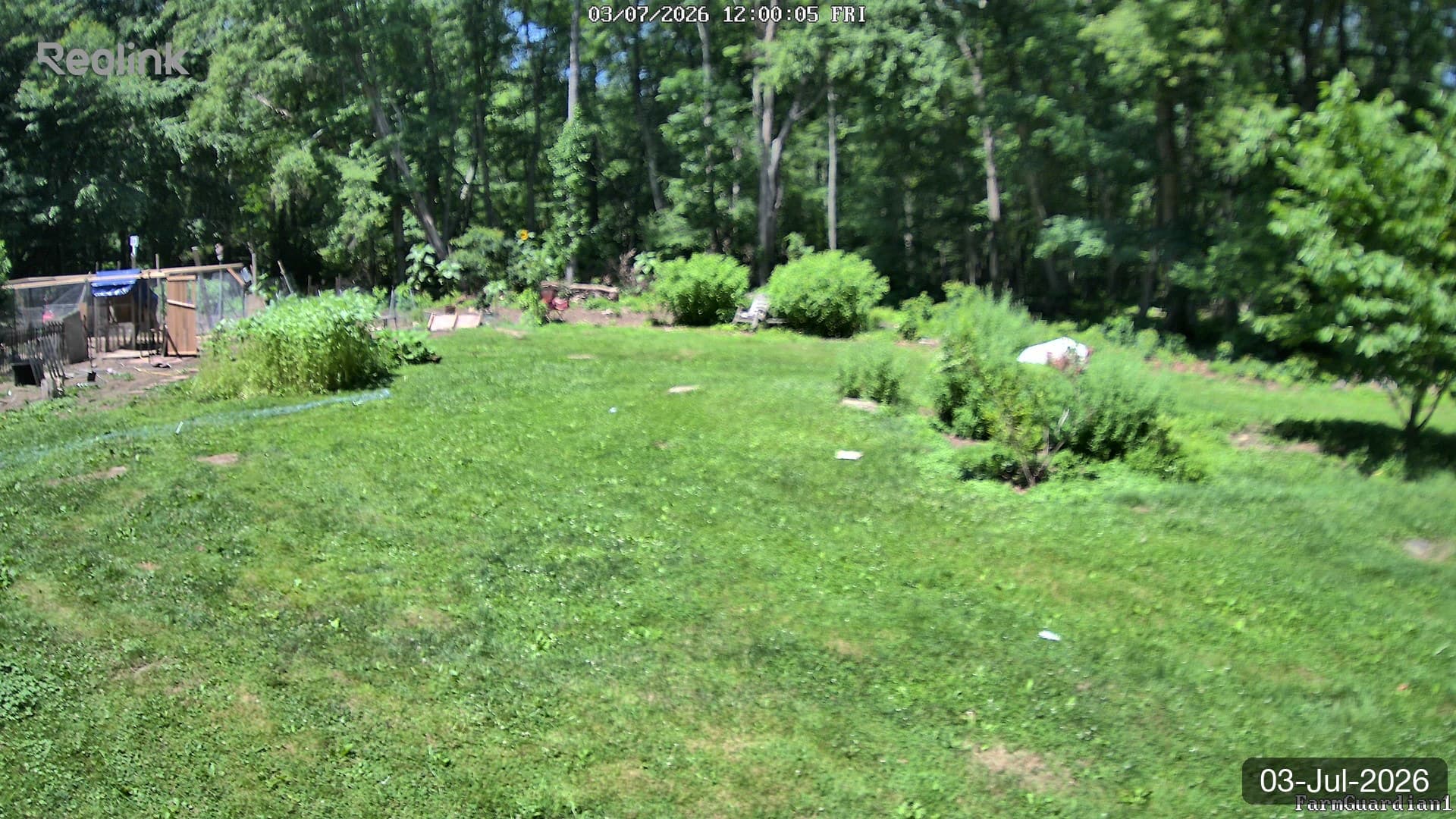 Yard on 03-Jul-2026, Noon