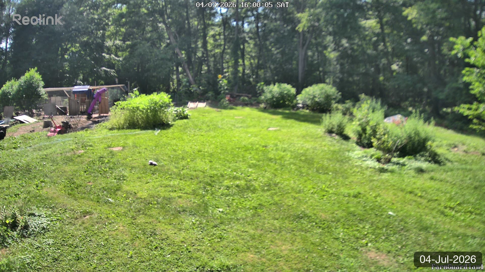 Yard on 04-Jul-2026, Evening