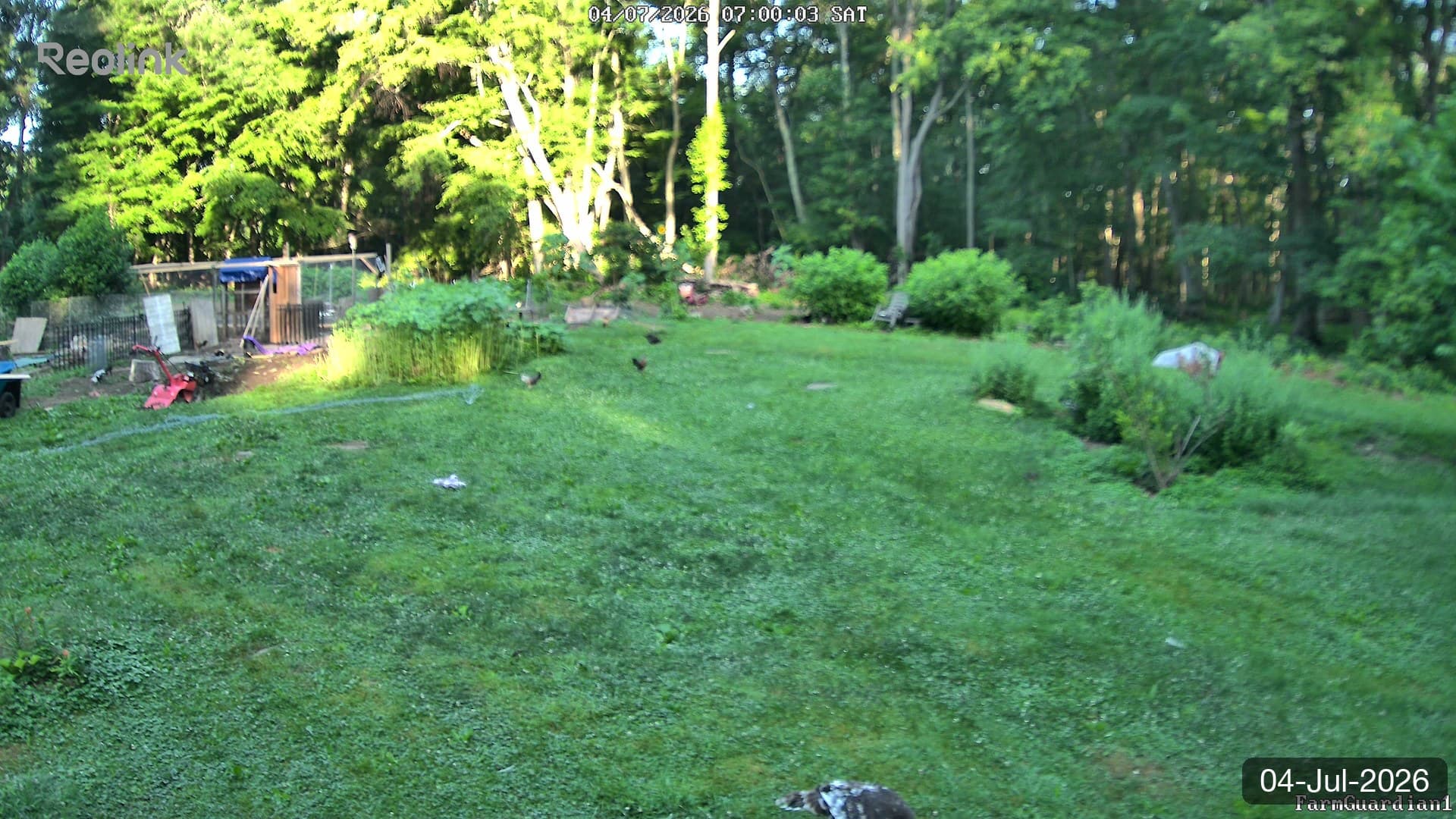 Yard on 04-Jul-2026, Morning