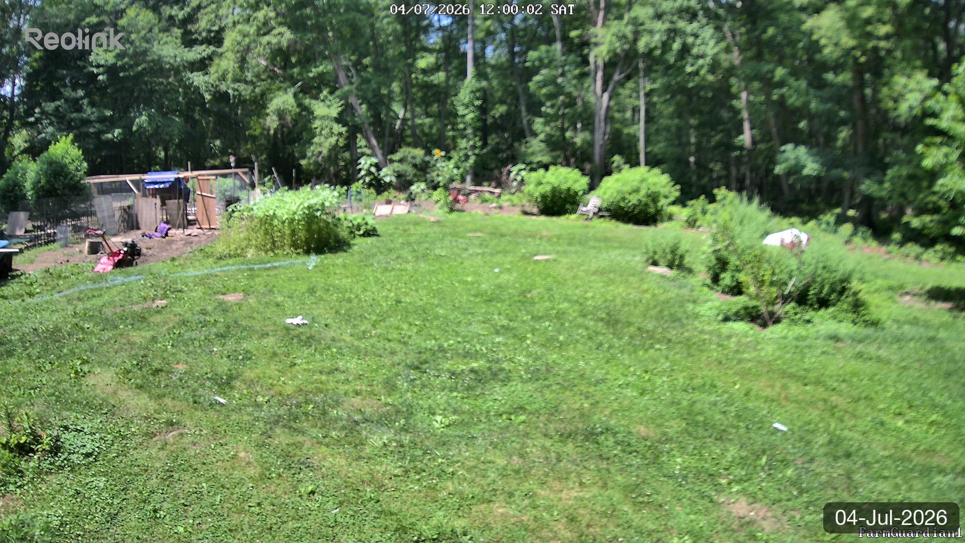 Yard on 04-Jul-2026, Noon