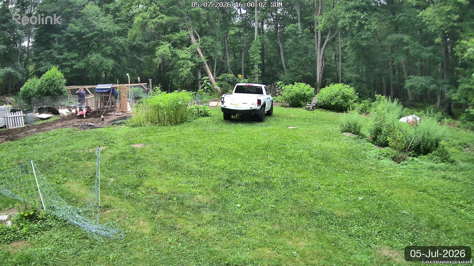 Yard on 05-Jul-2026, Evening