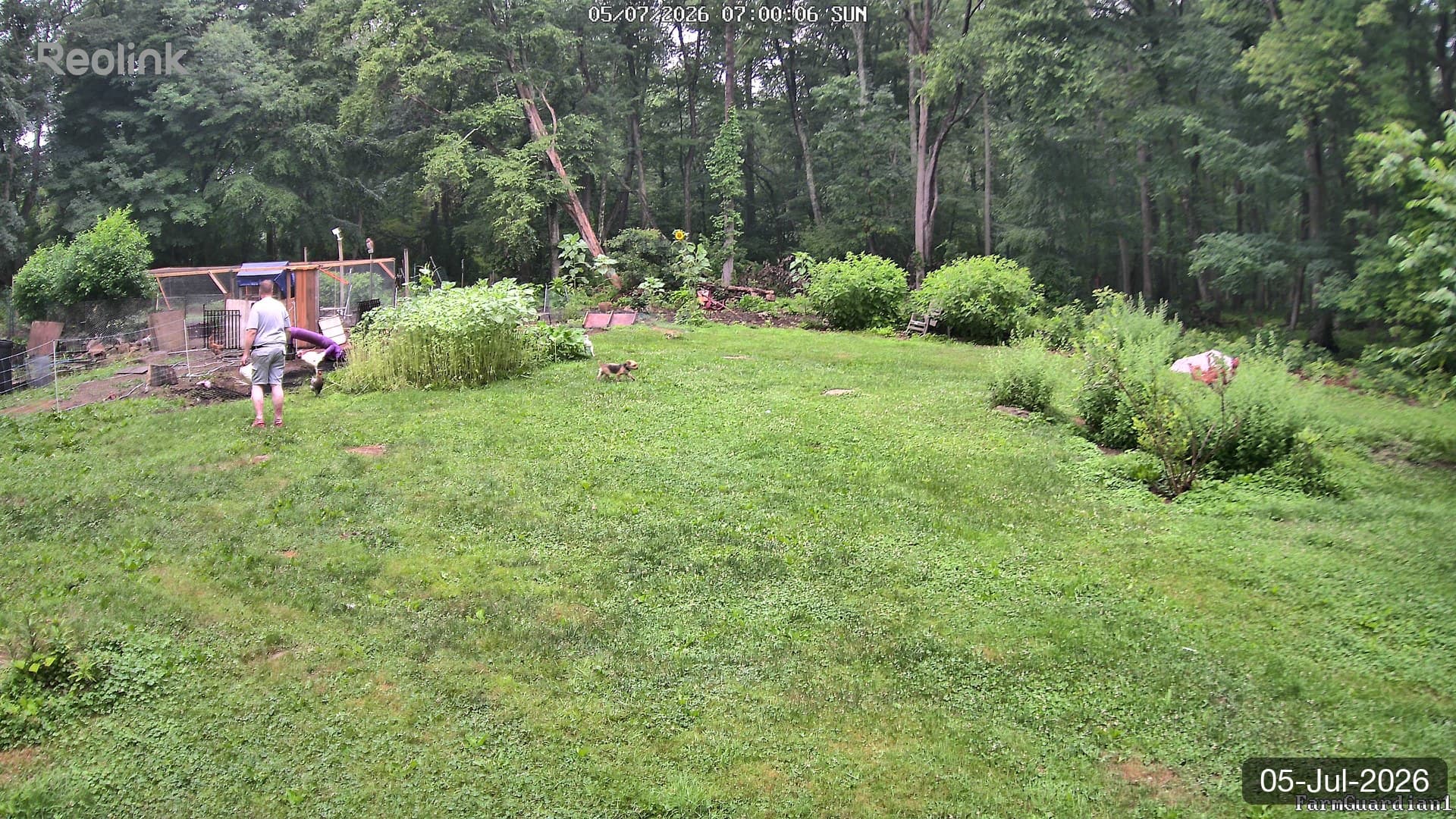 Yard on 05-Jul-2026, Morning