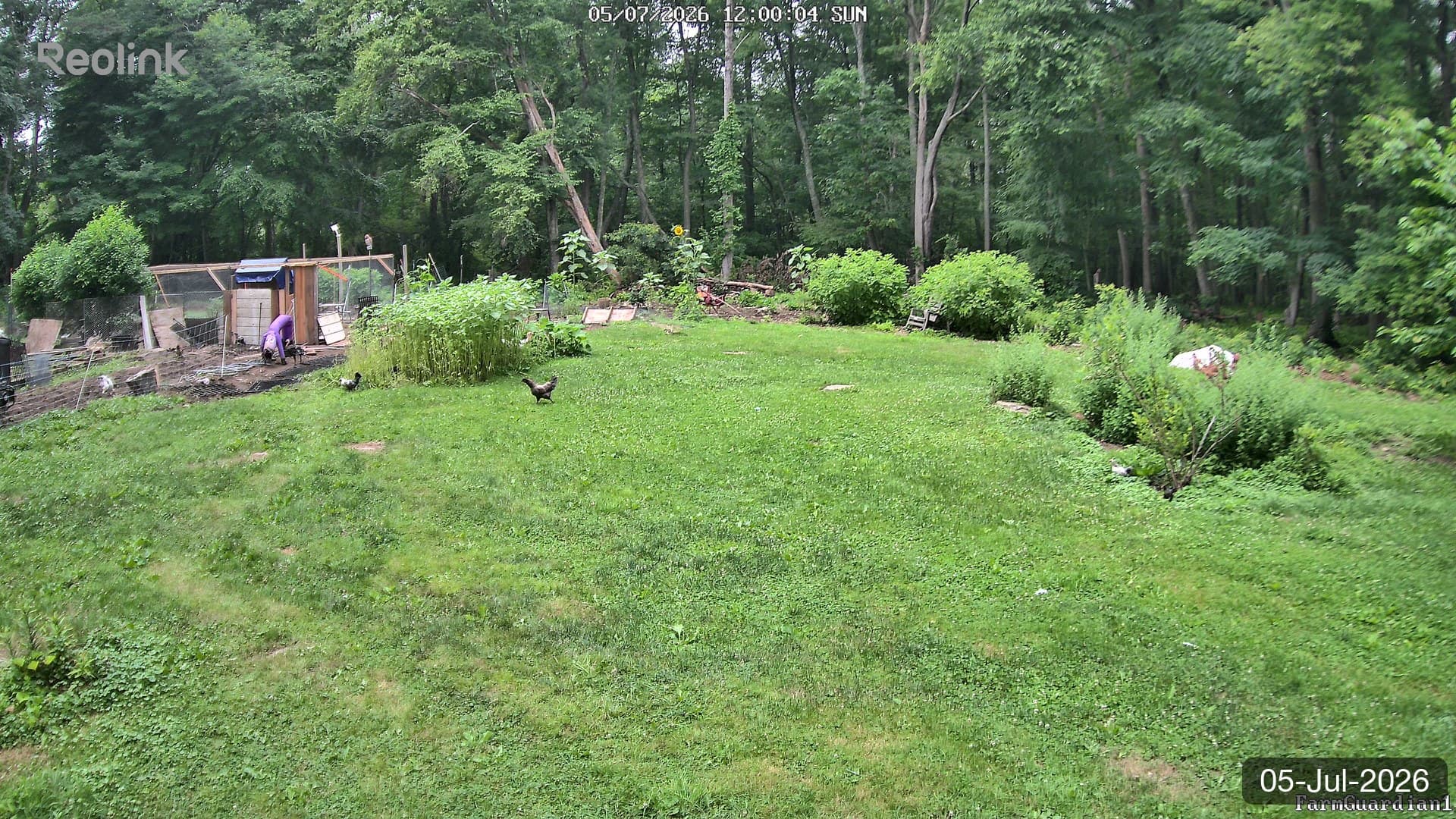 Yard on 05-Jul-2026, Noon