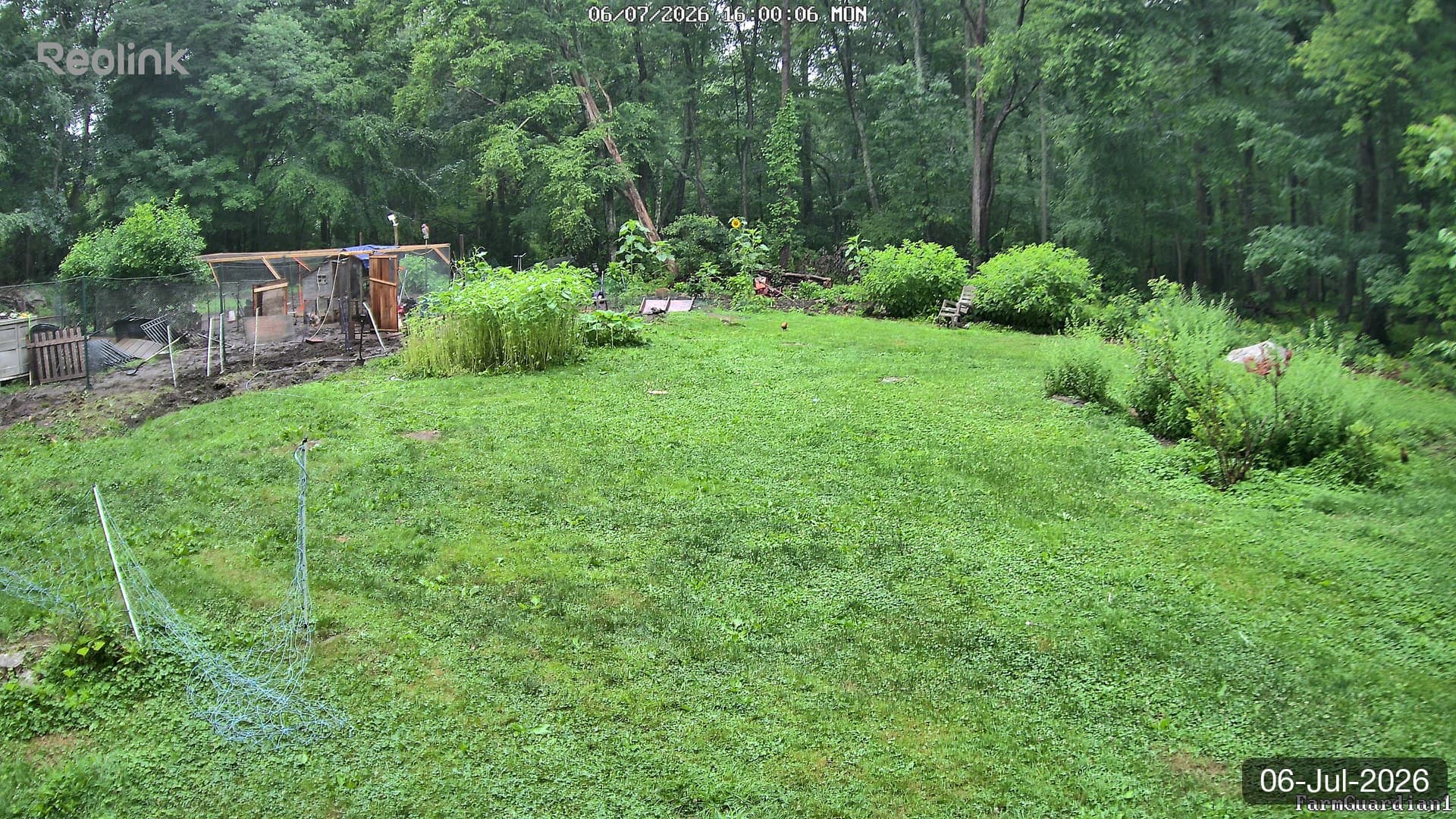 Yard on 06-Jul-2026, Evening