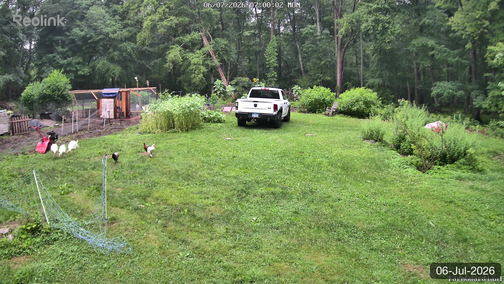 Yard on 06-Jul-2026, Morning
