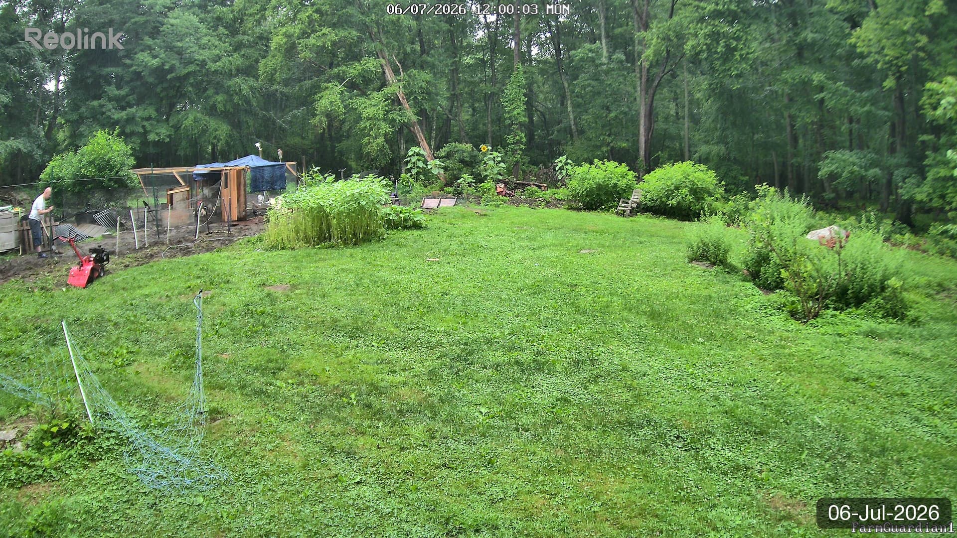 Yard on 06-Jul-2026, Noon