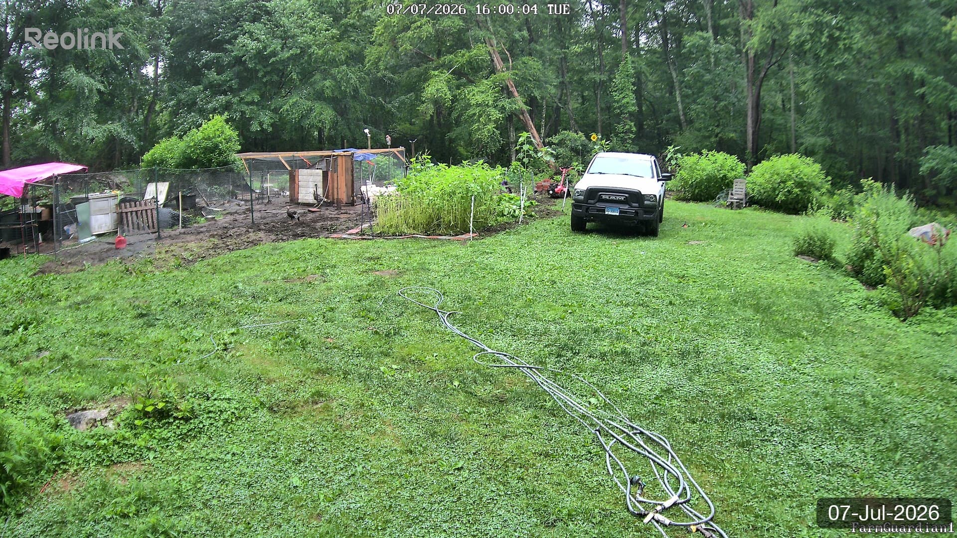 Yard on 07-Jul-2026, Evening