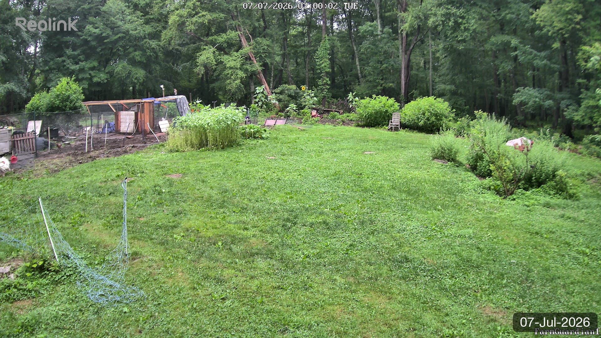 Yard on 07-Jul-2026, Morning