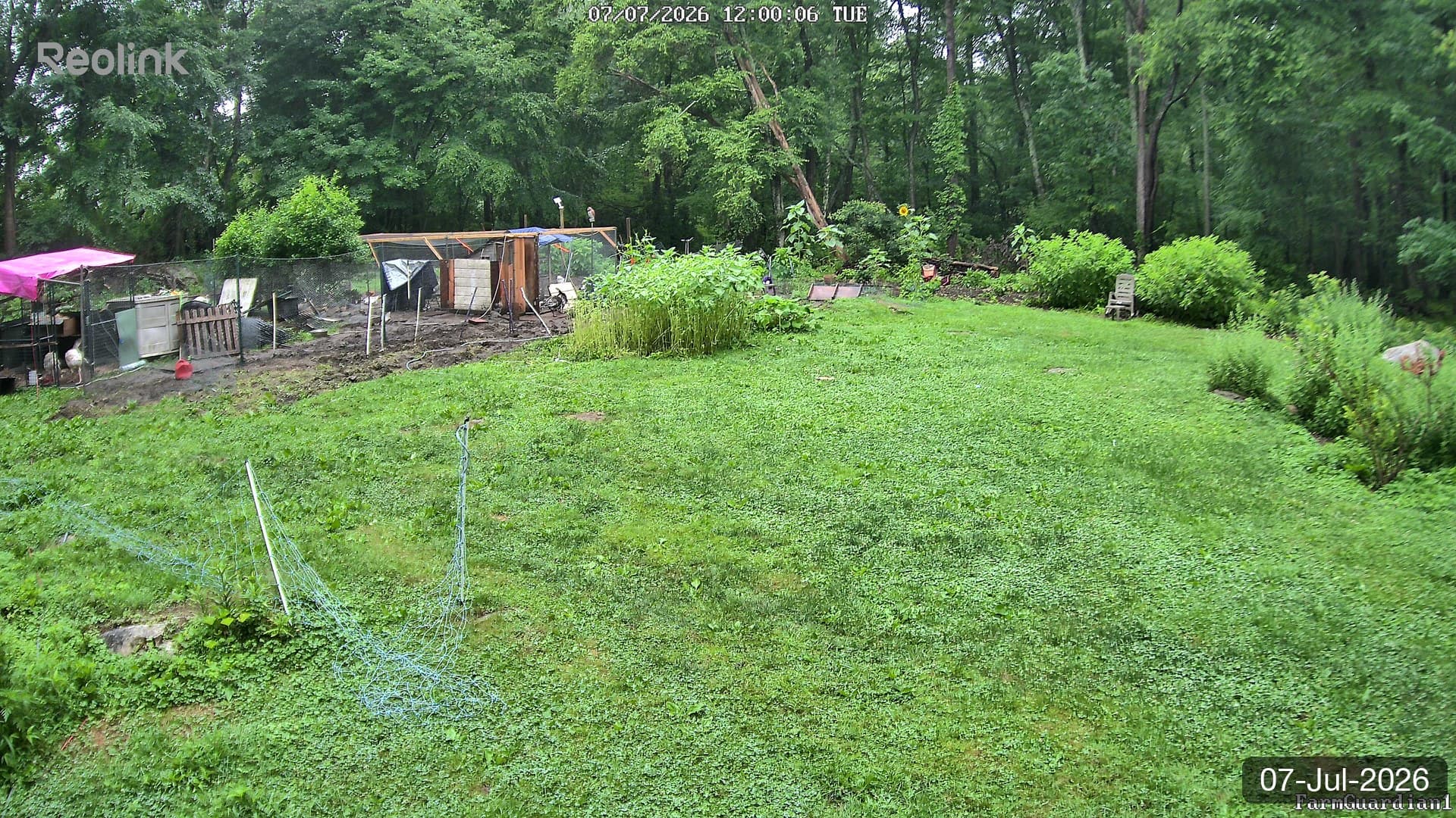 Yard on 07-Jul-2026, Noon