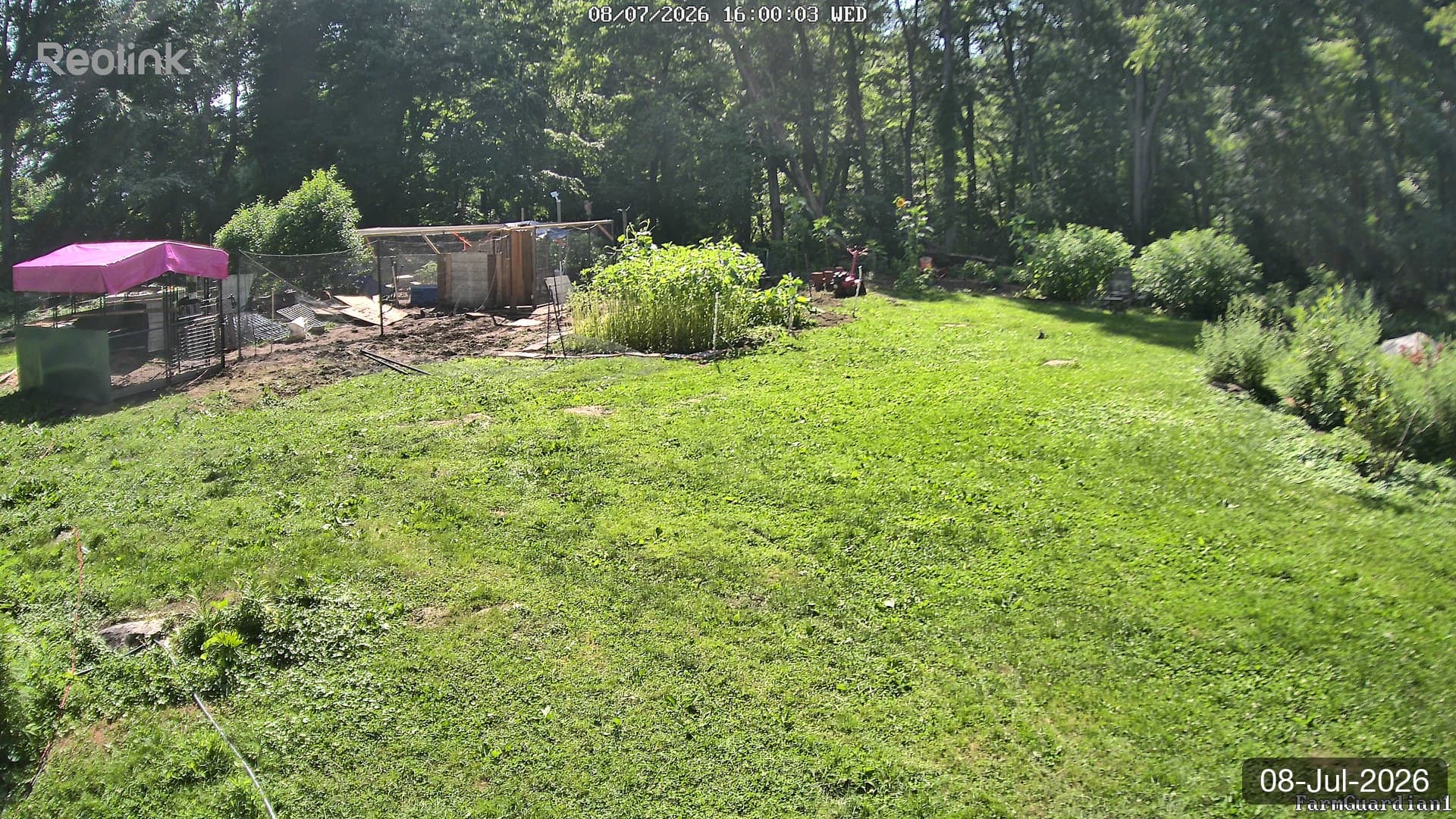 Yard on 08-Jul-2026, Evening