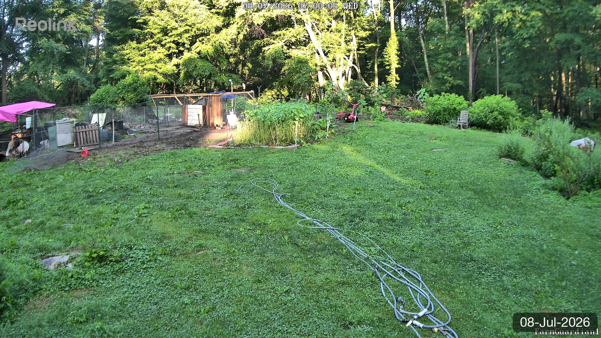 Yard on 08-Jul-2026, Morning