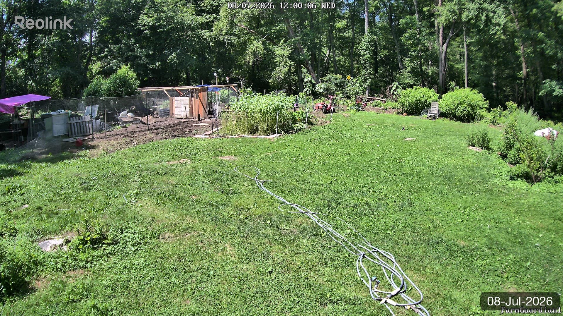 Yard on 08-Jul-2026, Noon