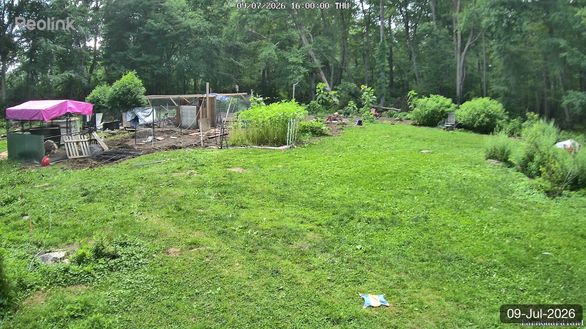 Yard on 09-Jul-2026, Evening