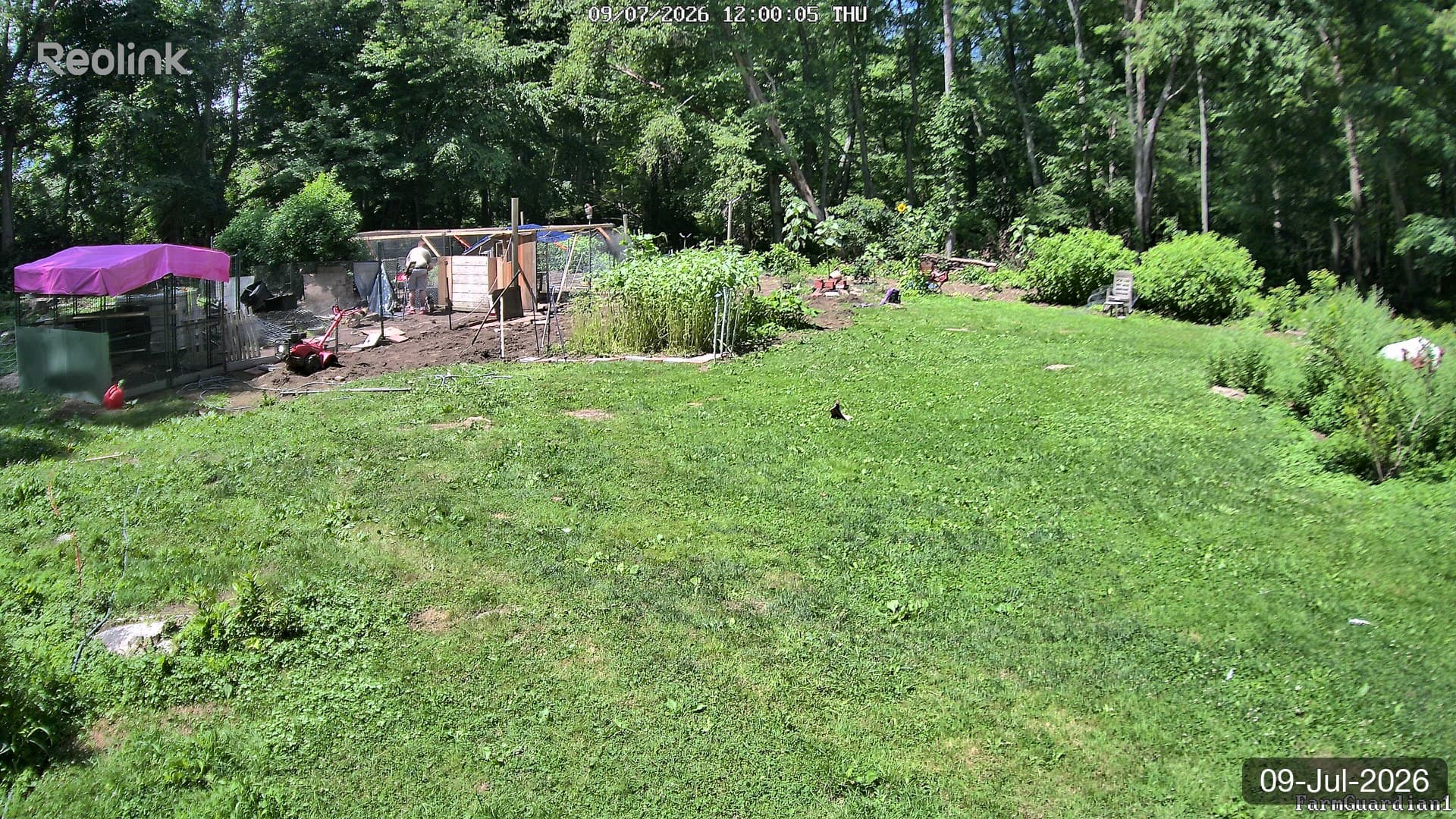 Yard on 09-Jul-2026, Noon