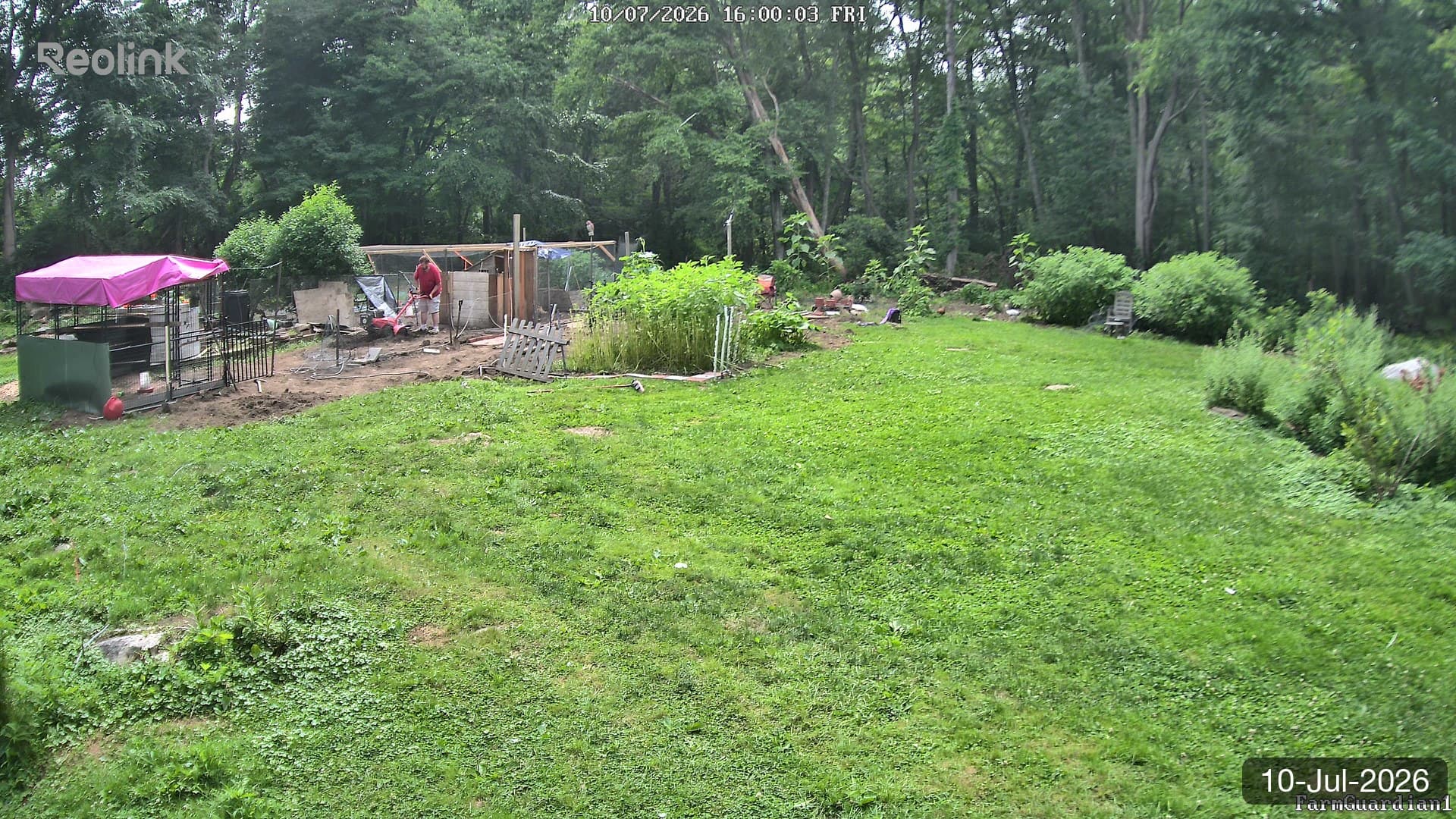 Yard on 10-Jul-2026, Evening
