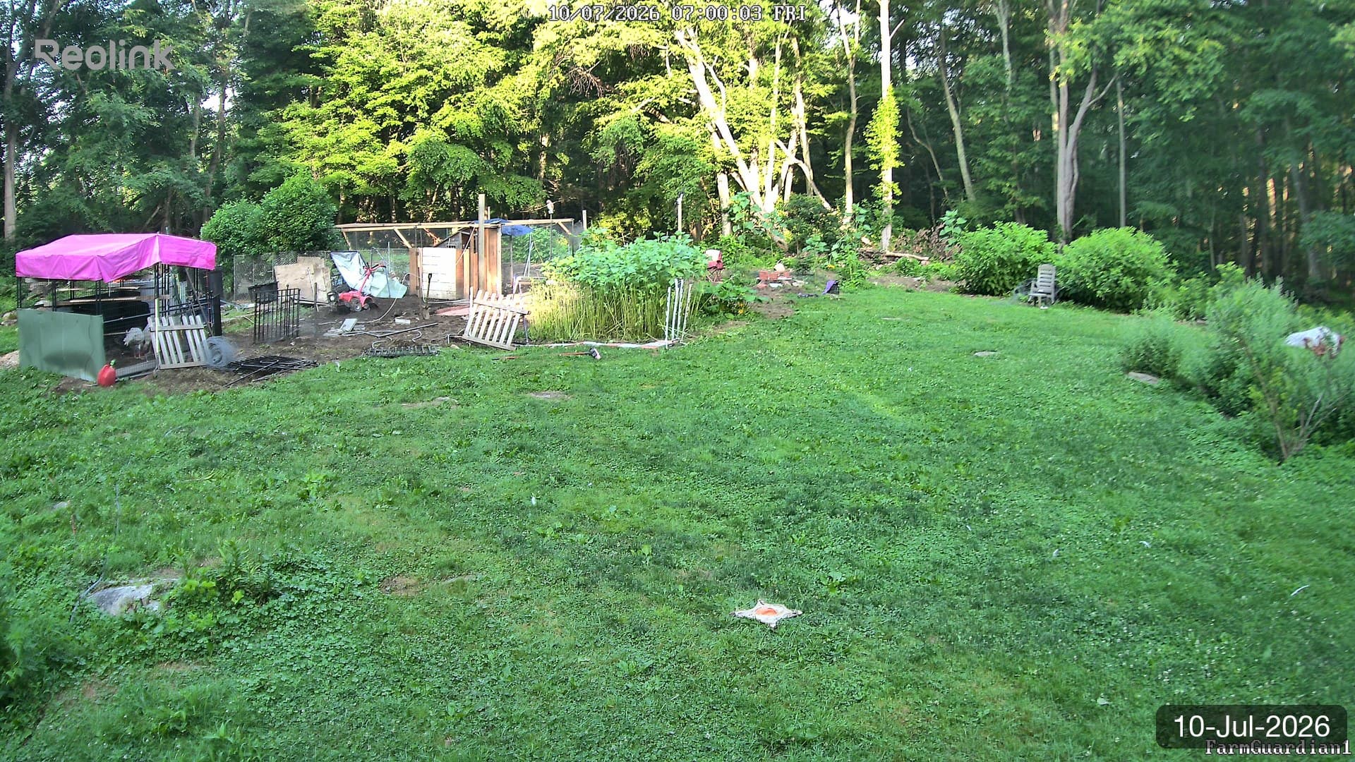 Yard on 10-Jul-2026, Morning