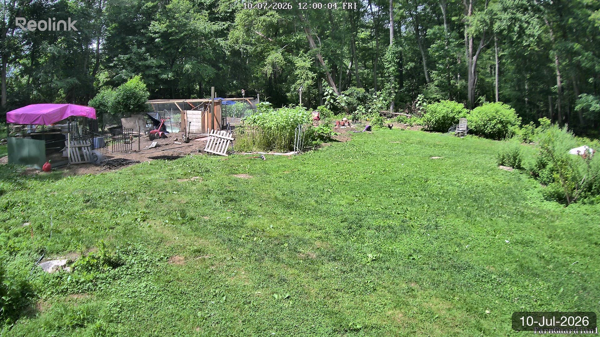 Yard on 10-Jul-2026, Noon