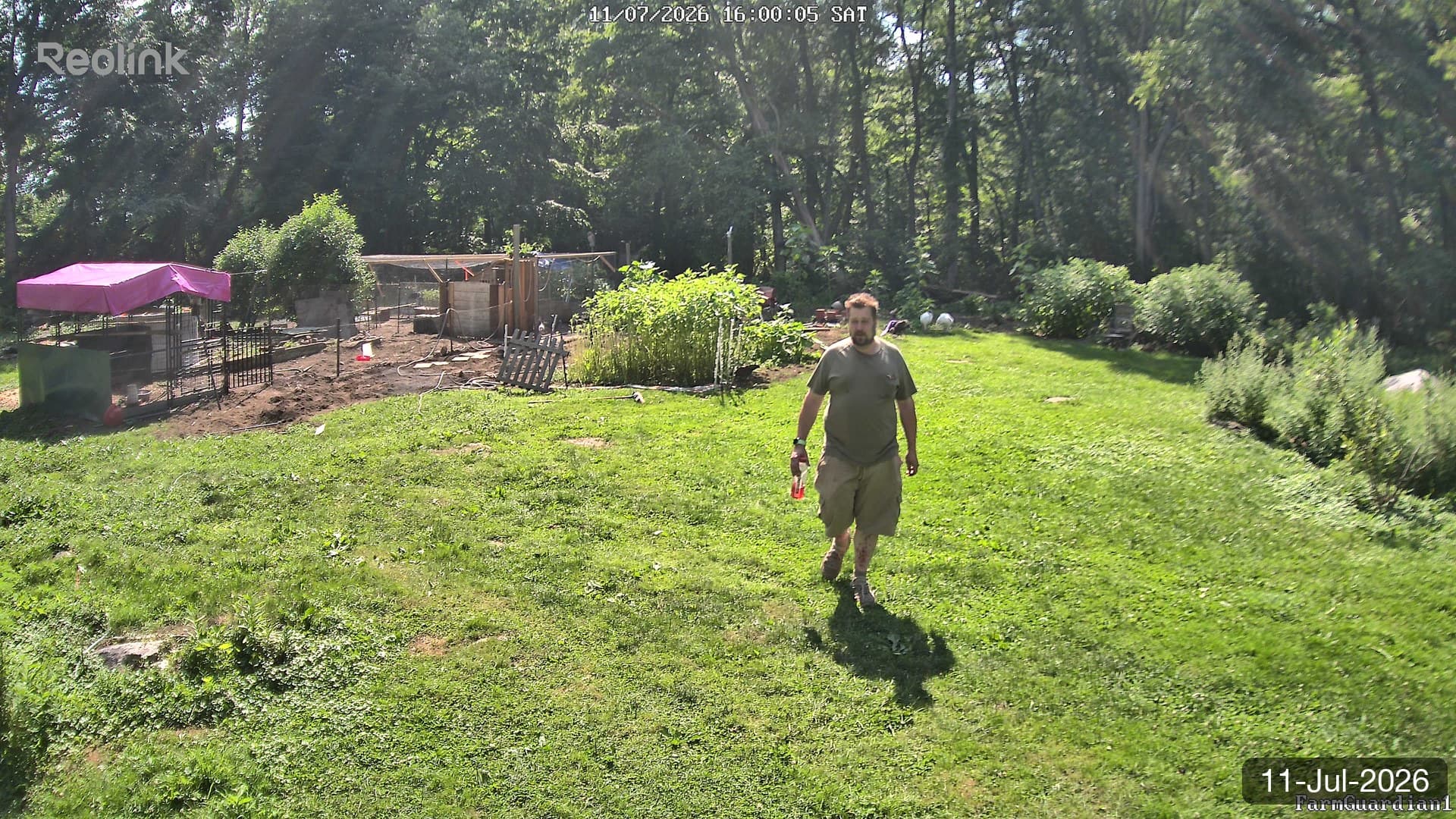 Yard on 11-Jul-2026, Evening