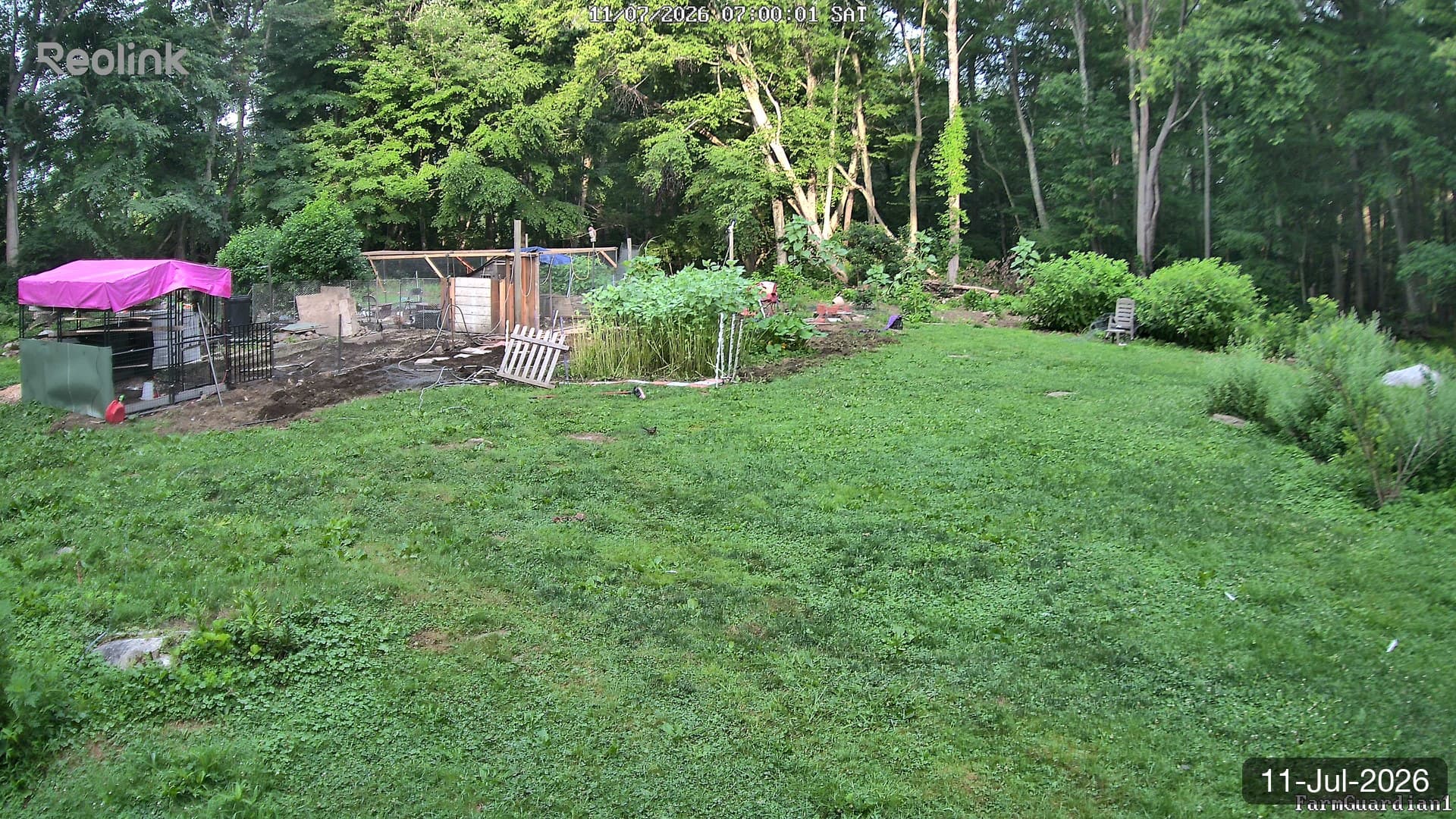 Yard on 11-Jul-2026, Morning