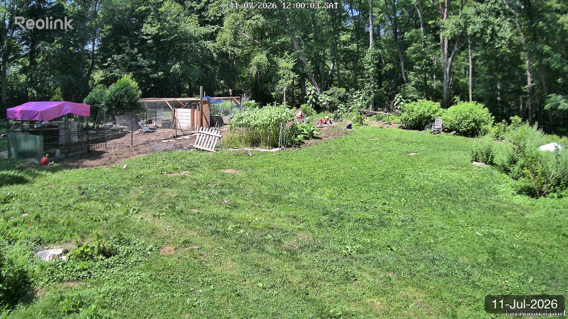 Yard on 11-Jul-2026, Noon