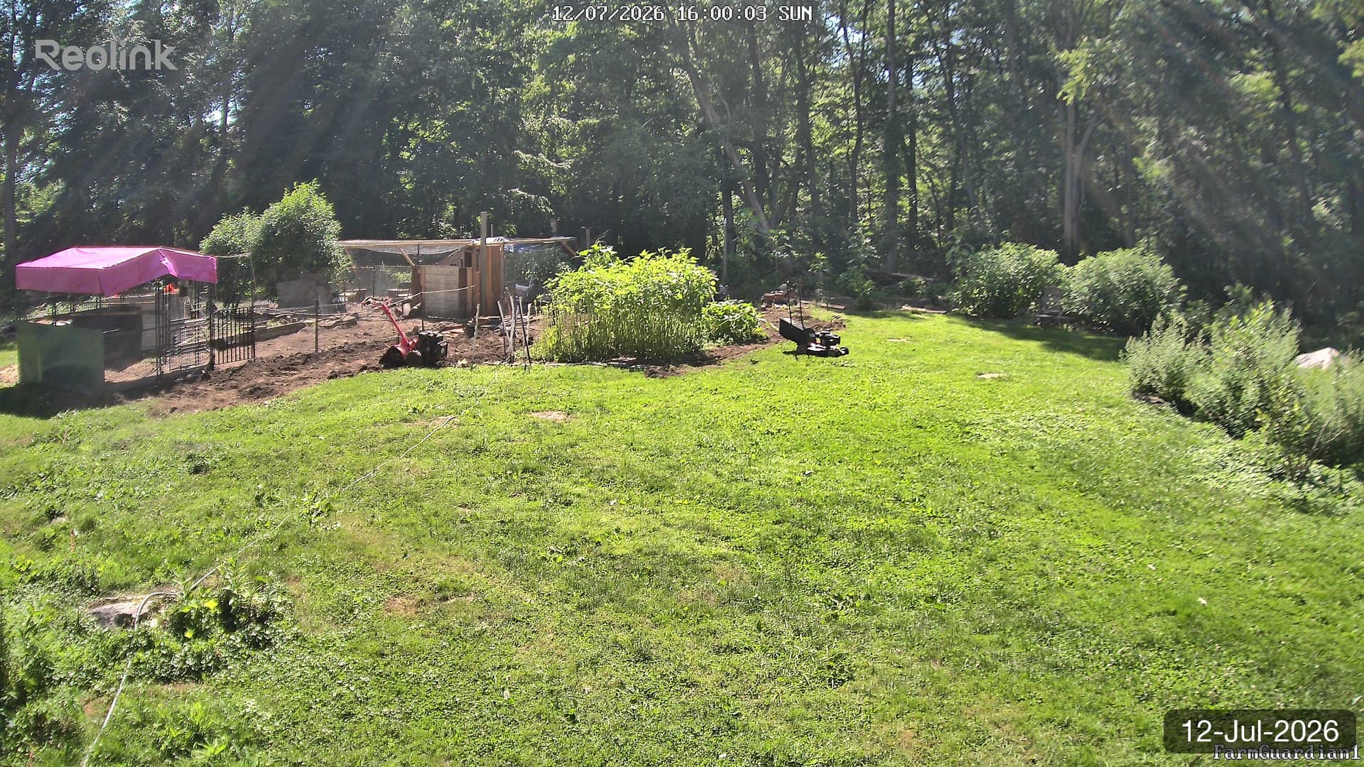Yard on 12-Jul-2026, Evening