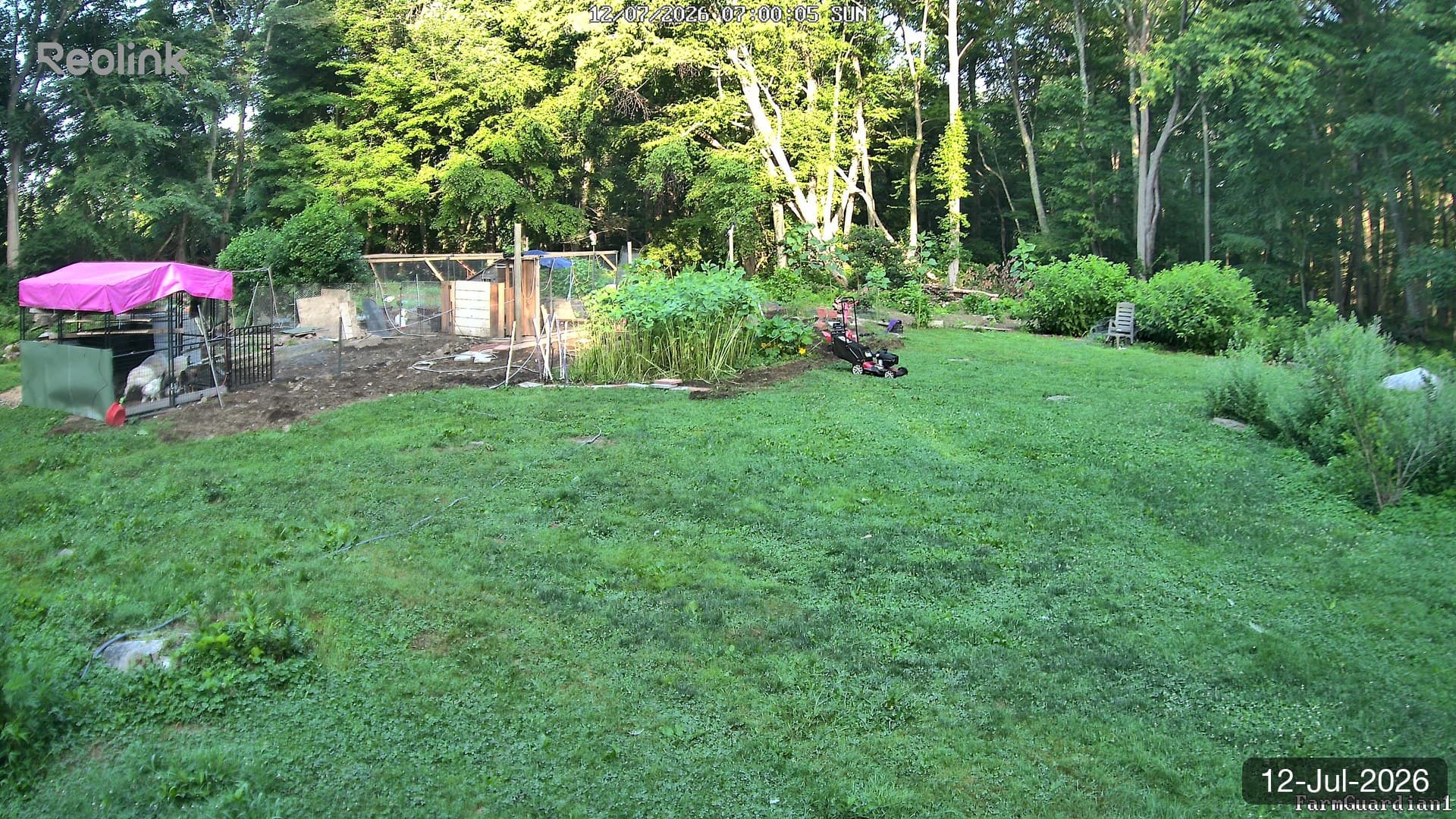 Yard on 12-Jul-2026, Morning