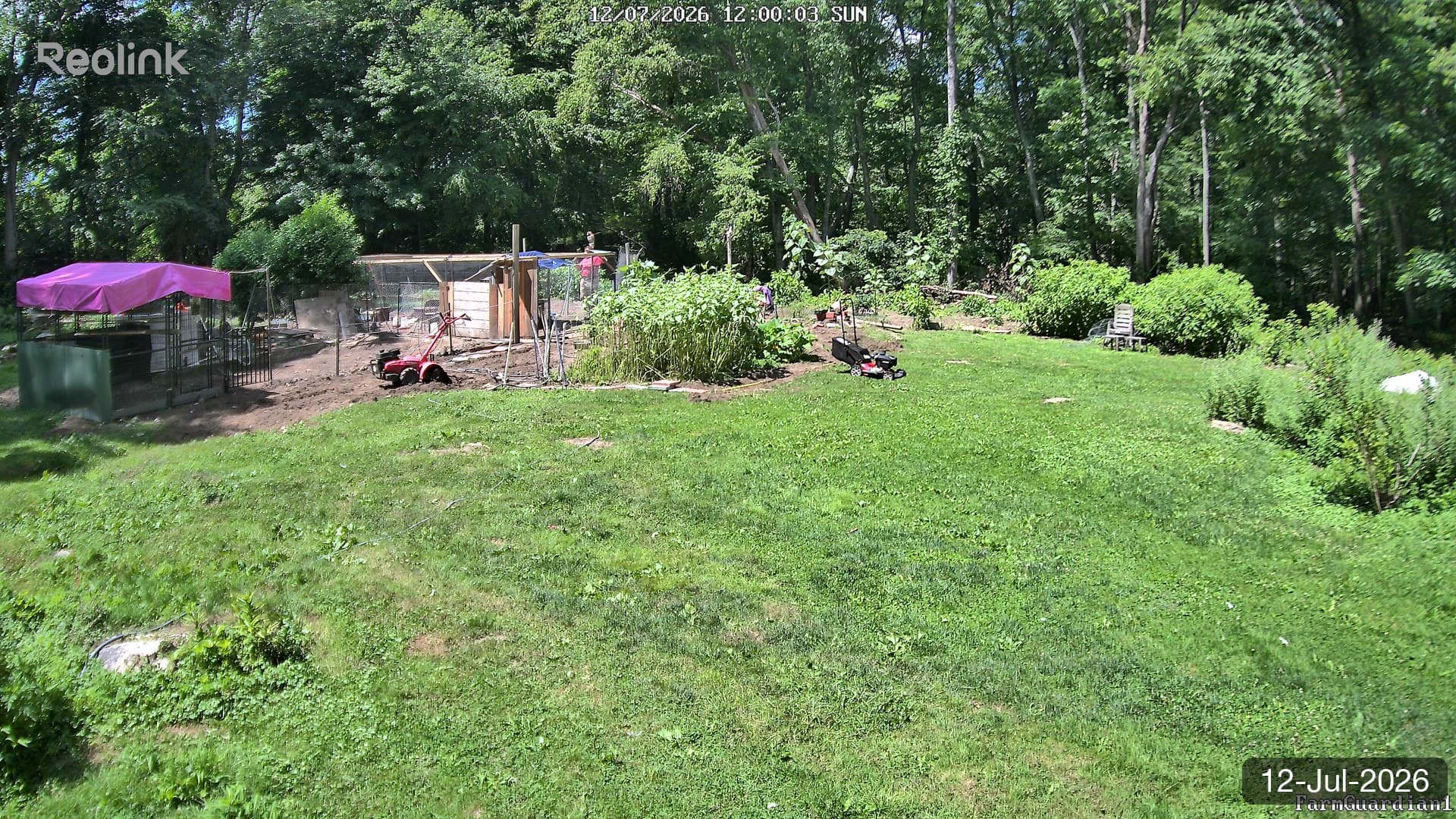 Yard on 12-Jul-2026, Noon