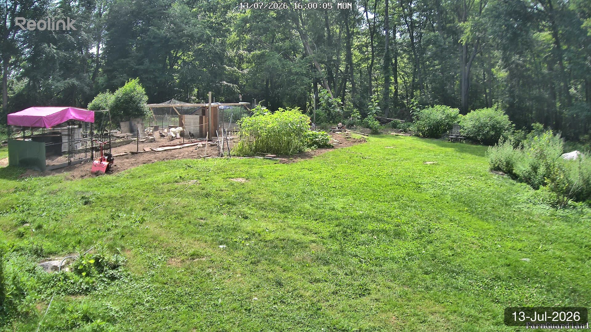 Yard on 13-Jul-2026, Evening