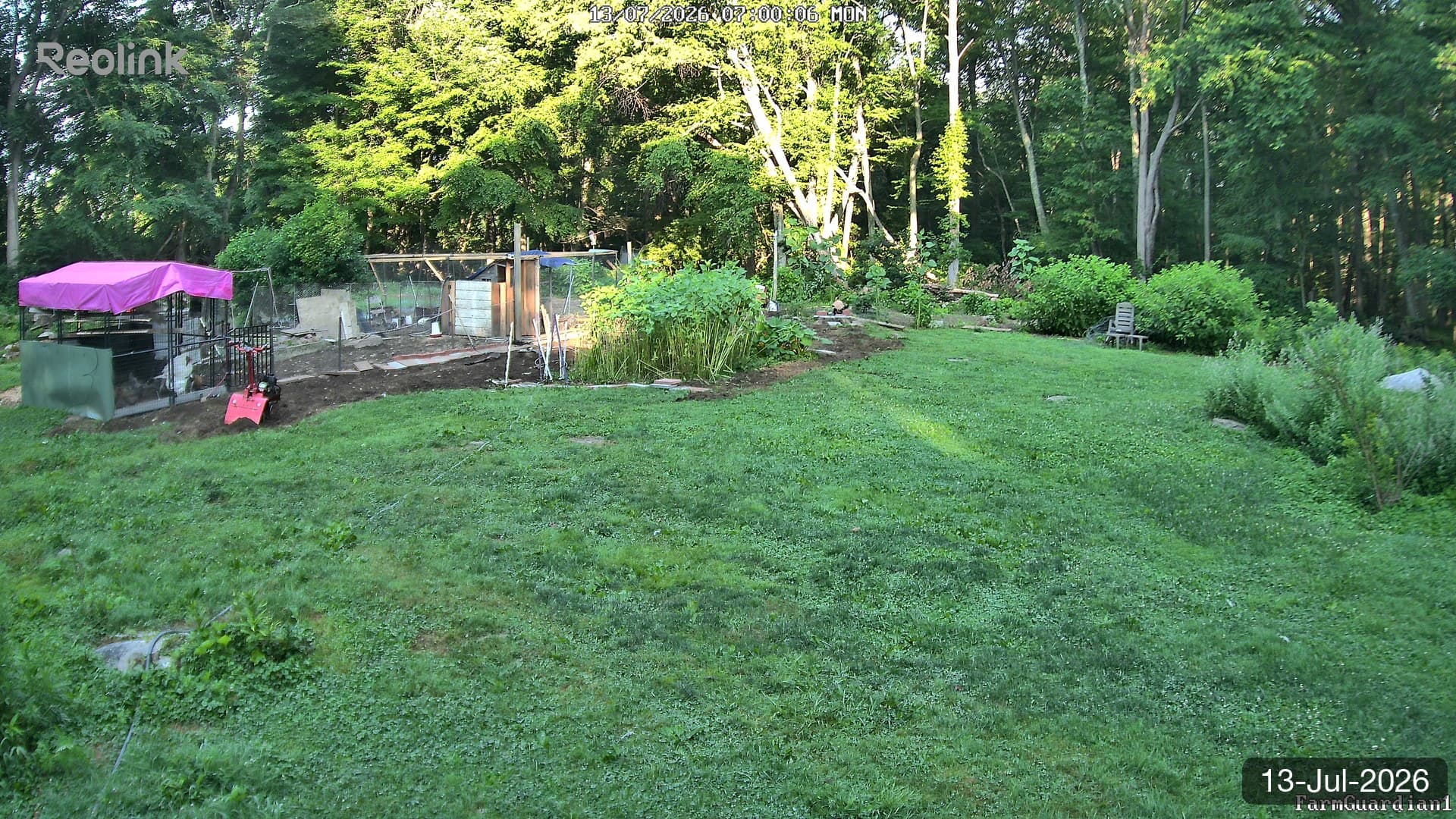 Yard on 13-Jul-2026, Morning