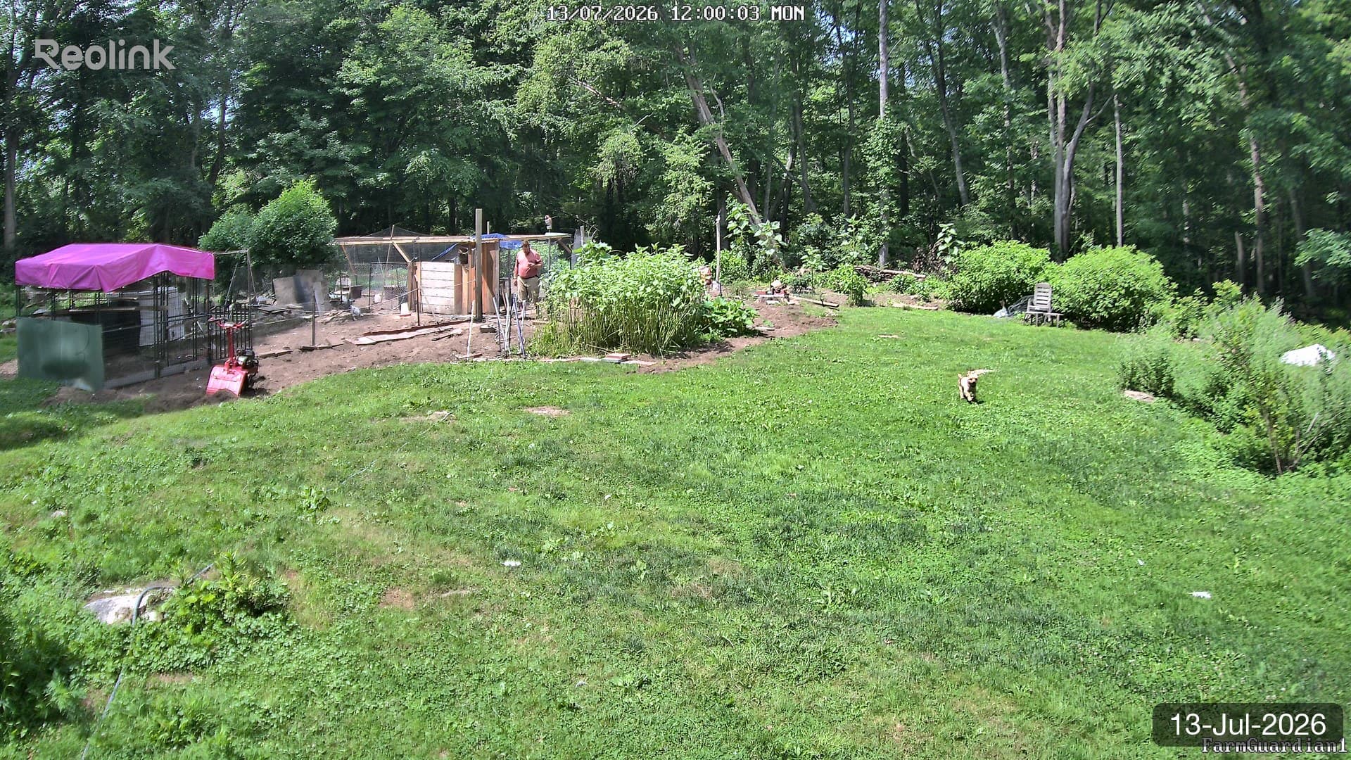 Yard on 13-Jul-2026, Noon