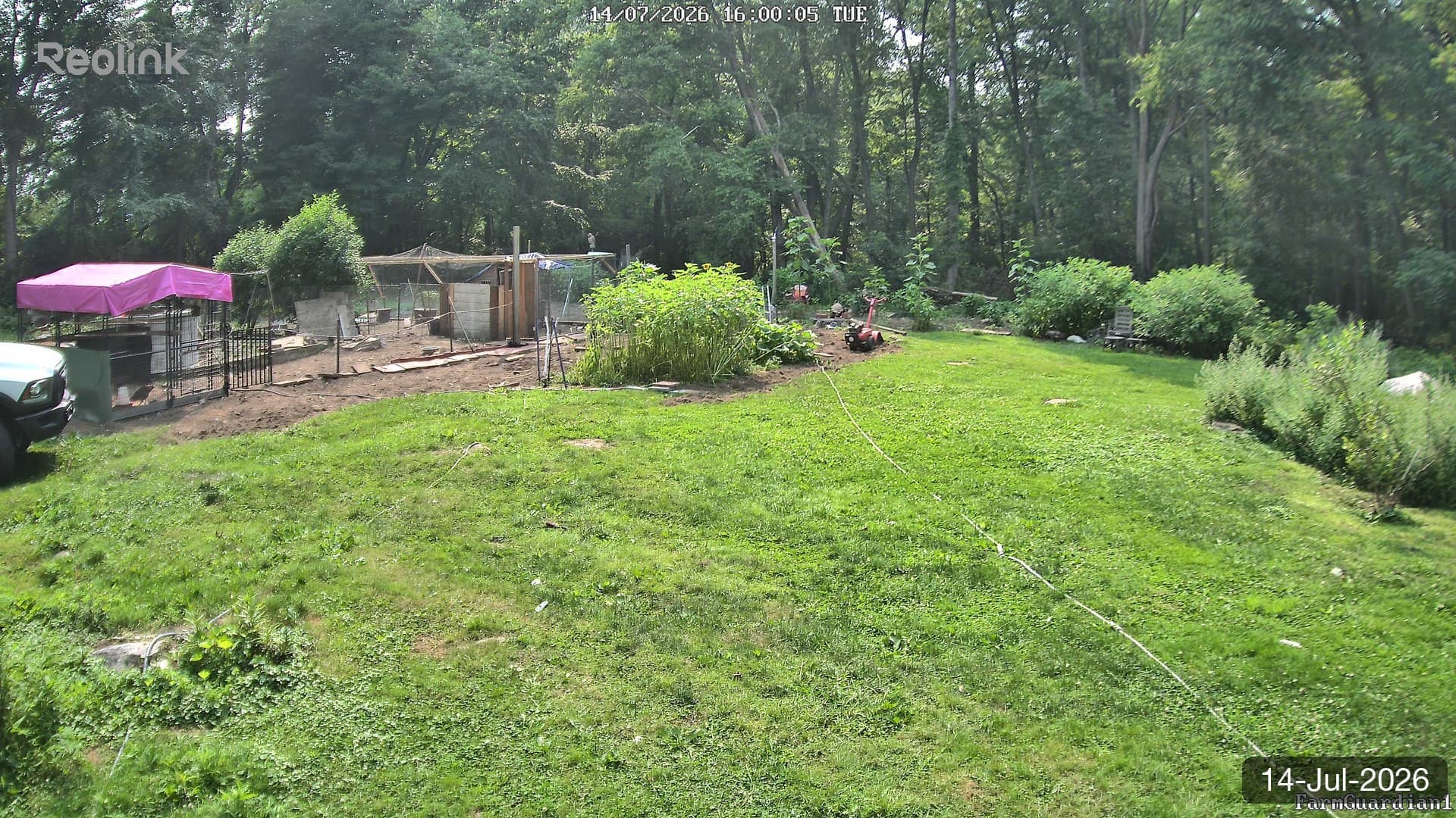 Yard on 14-Jul-2026, Evening