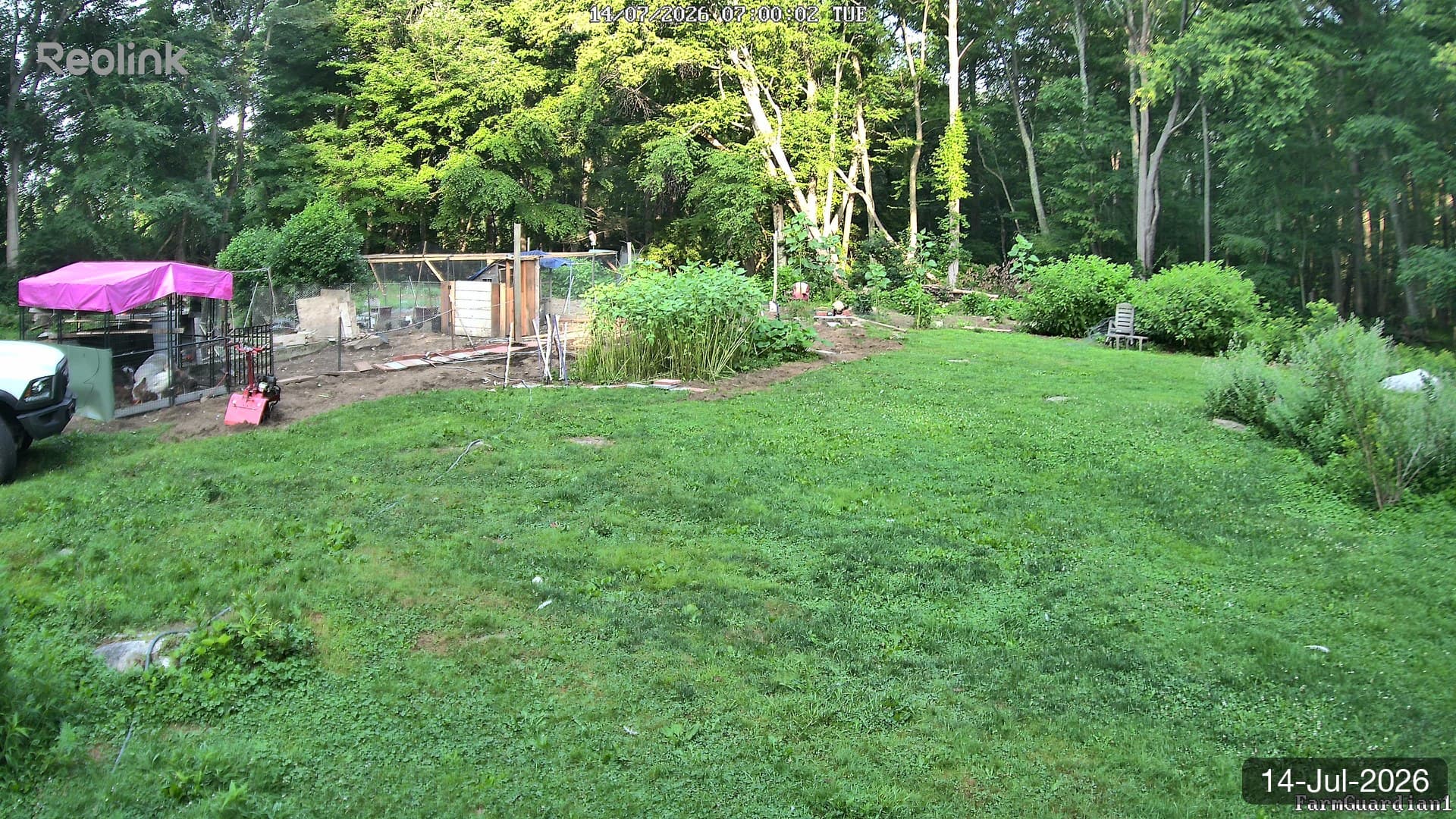 Yard on 14-Jul-2026, Morning