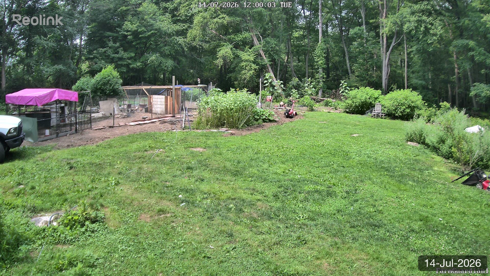 Yard on 14-Jul-2026, Noon