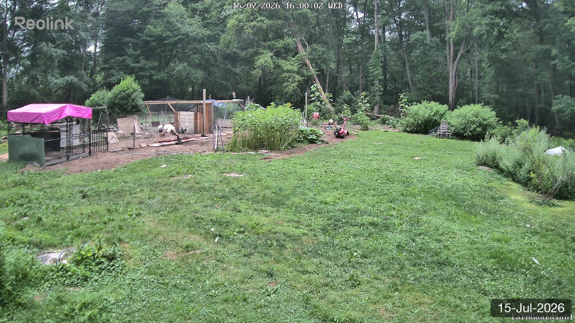 Yard on 15-Jul-2026, Evening