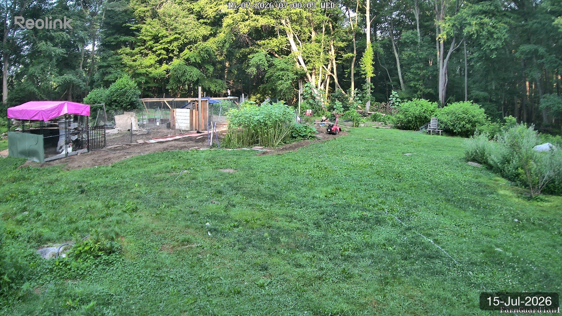 Yard on 15-Jul-2026, Morning