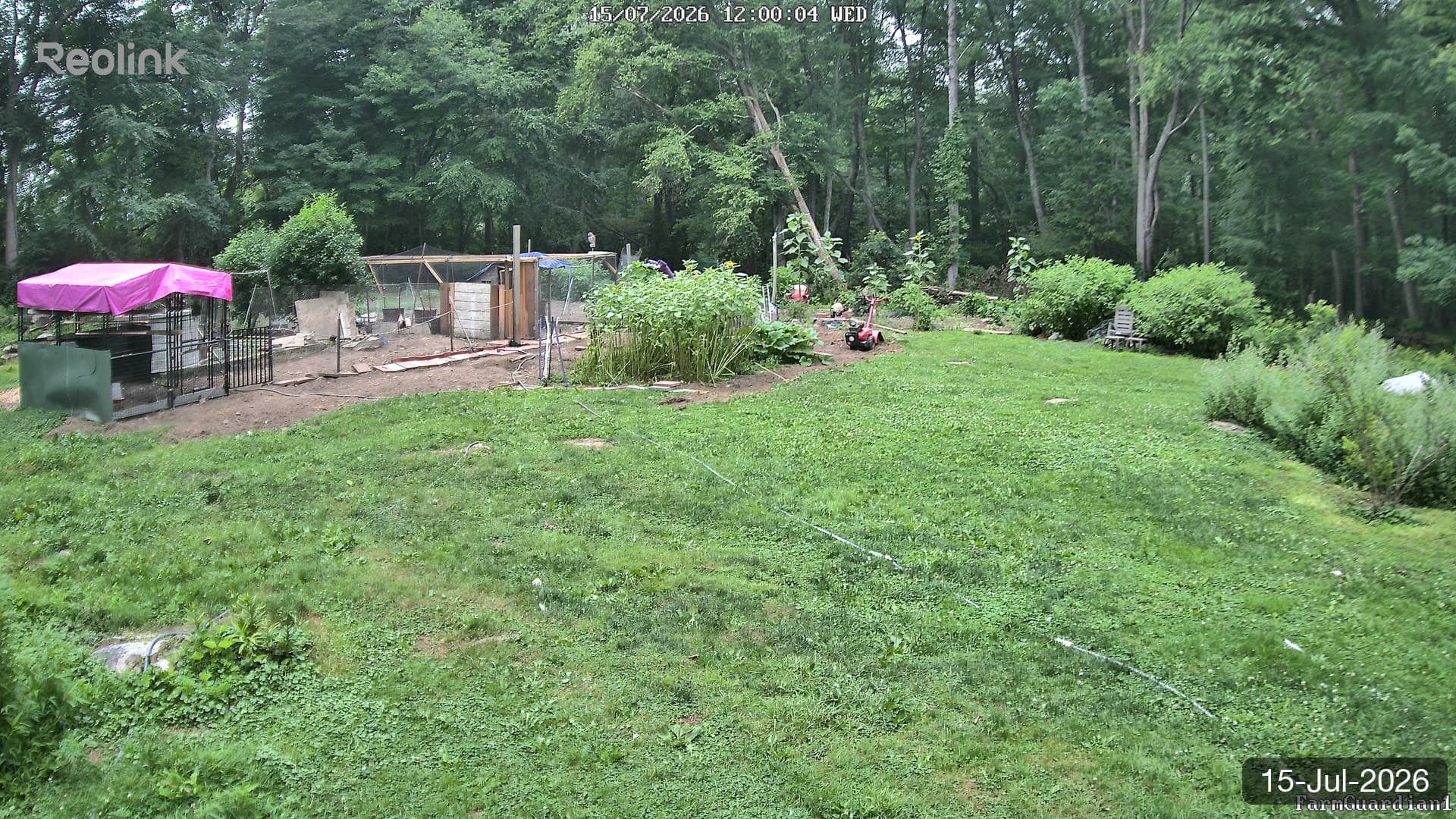 Yard on 15-Jul-2026, Noon