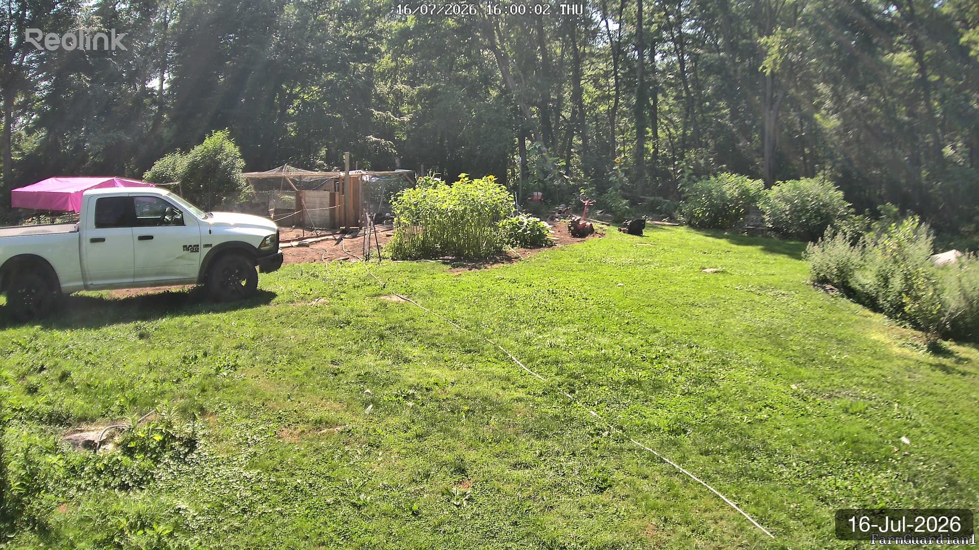 Yard on 16-Jul-2026, Evening