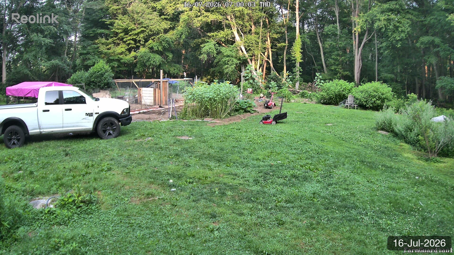 Yard on 16-Jul-2026, Morning