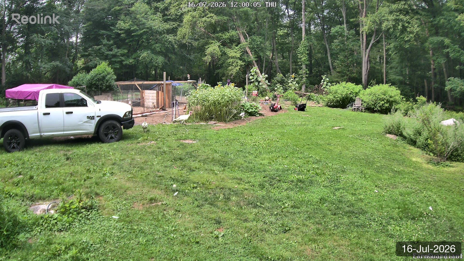 Yard on 16-Jul-2026, Noon