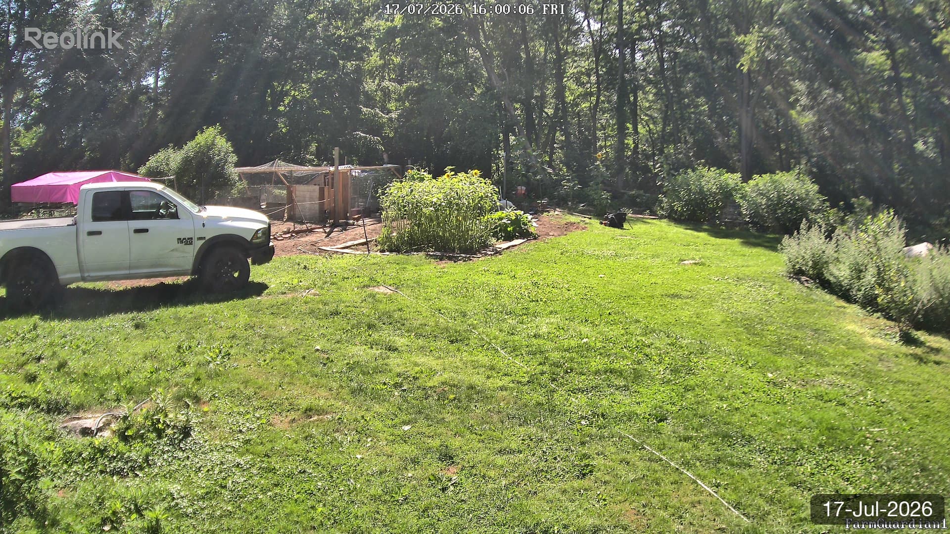 Yard on 17-Jul-2026, Evening