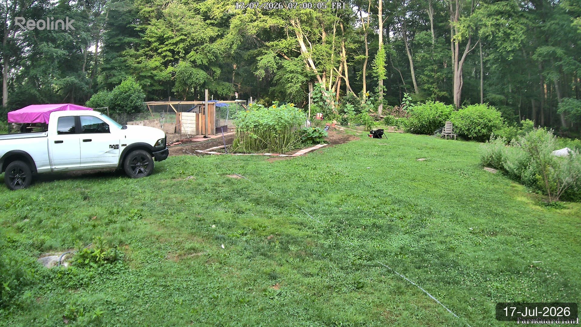 Yard on 17-Jul-2026, Morning