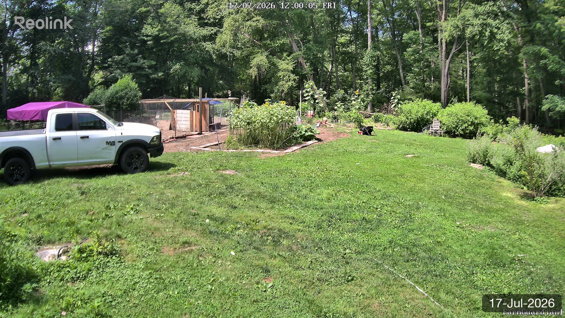 Yard on 17-Jul-2026, Noon