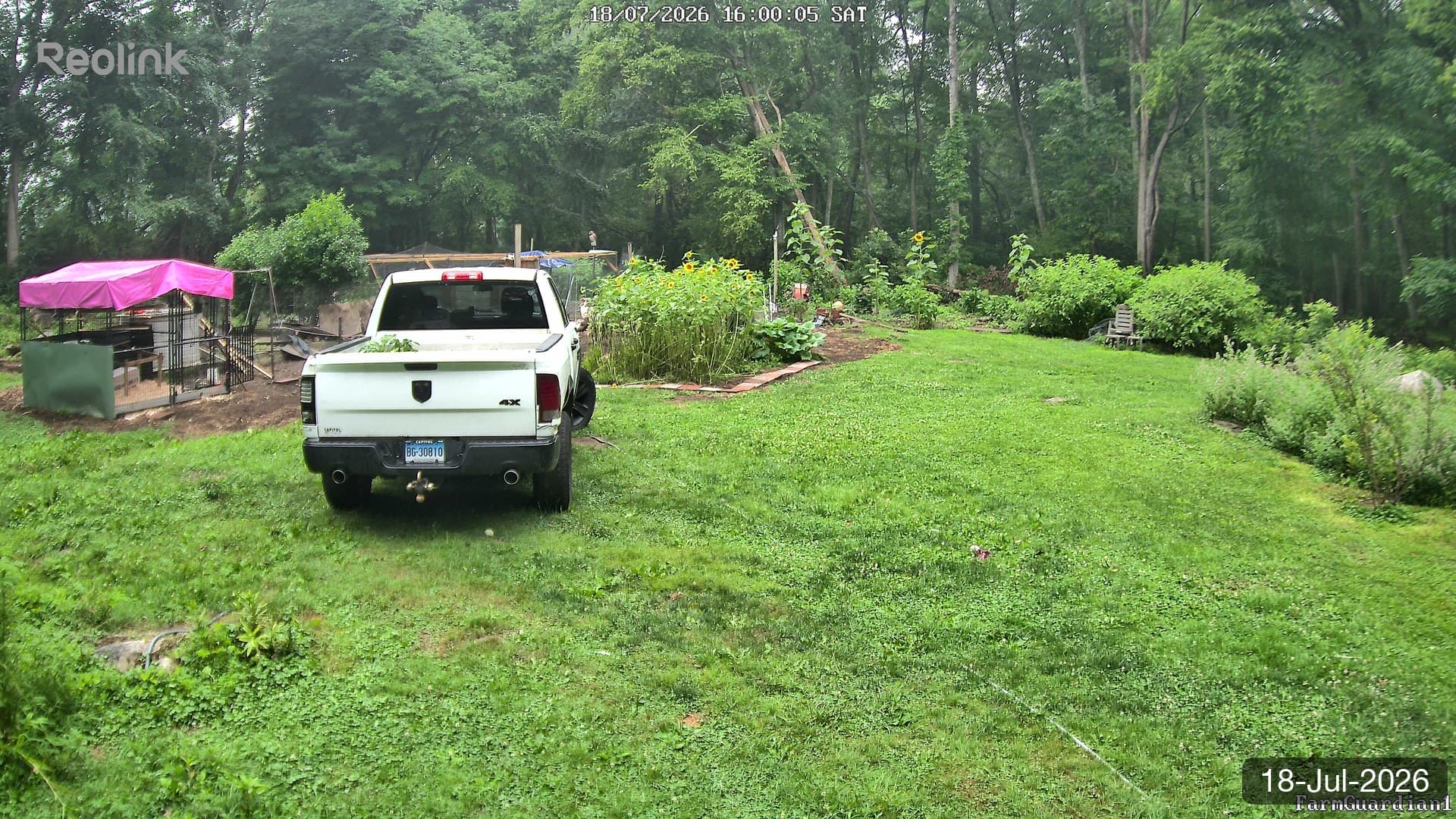 Yard on 18-Jul-2026, Evening
