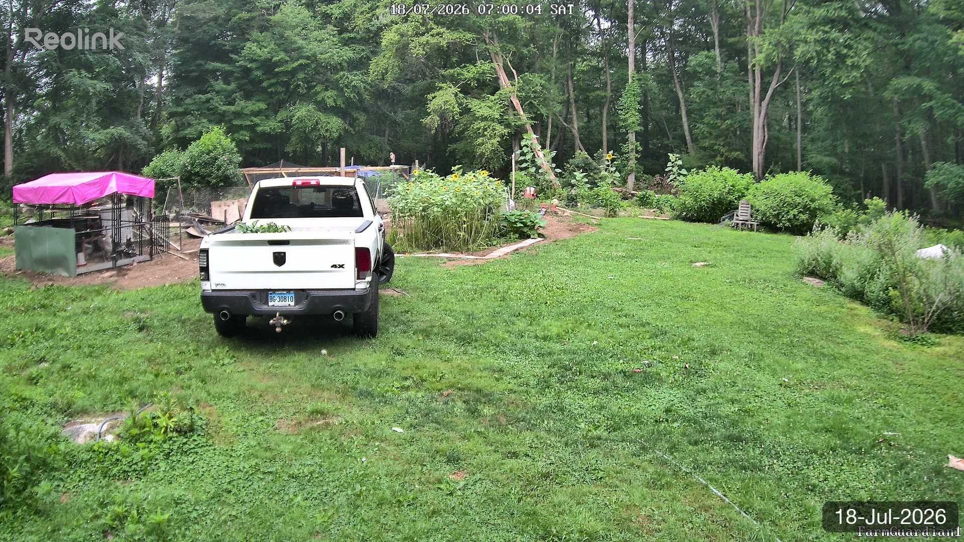 Yard on 18-Jul-2026, Morning