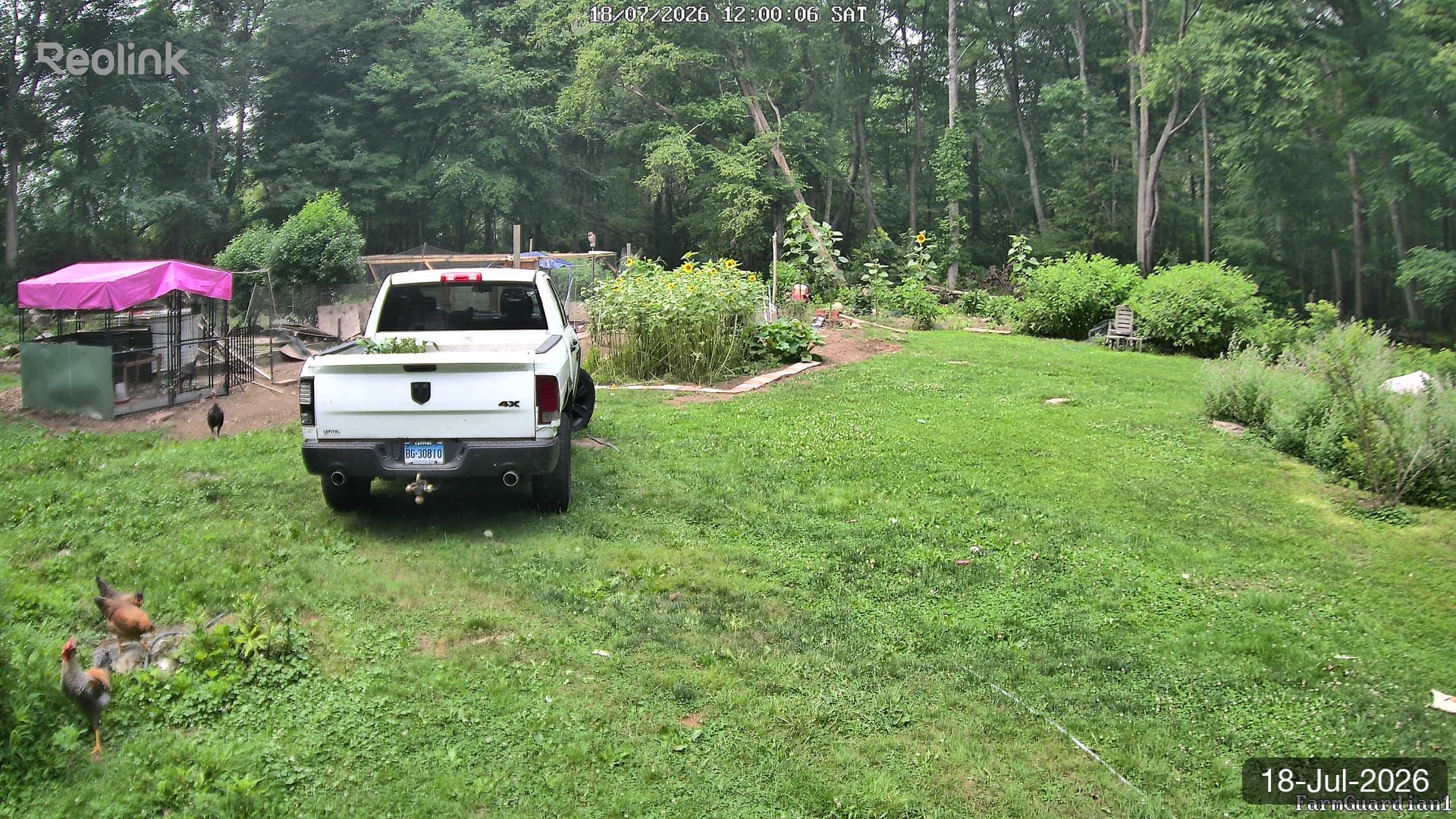 Yard on 18-Jul-2026, Noon