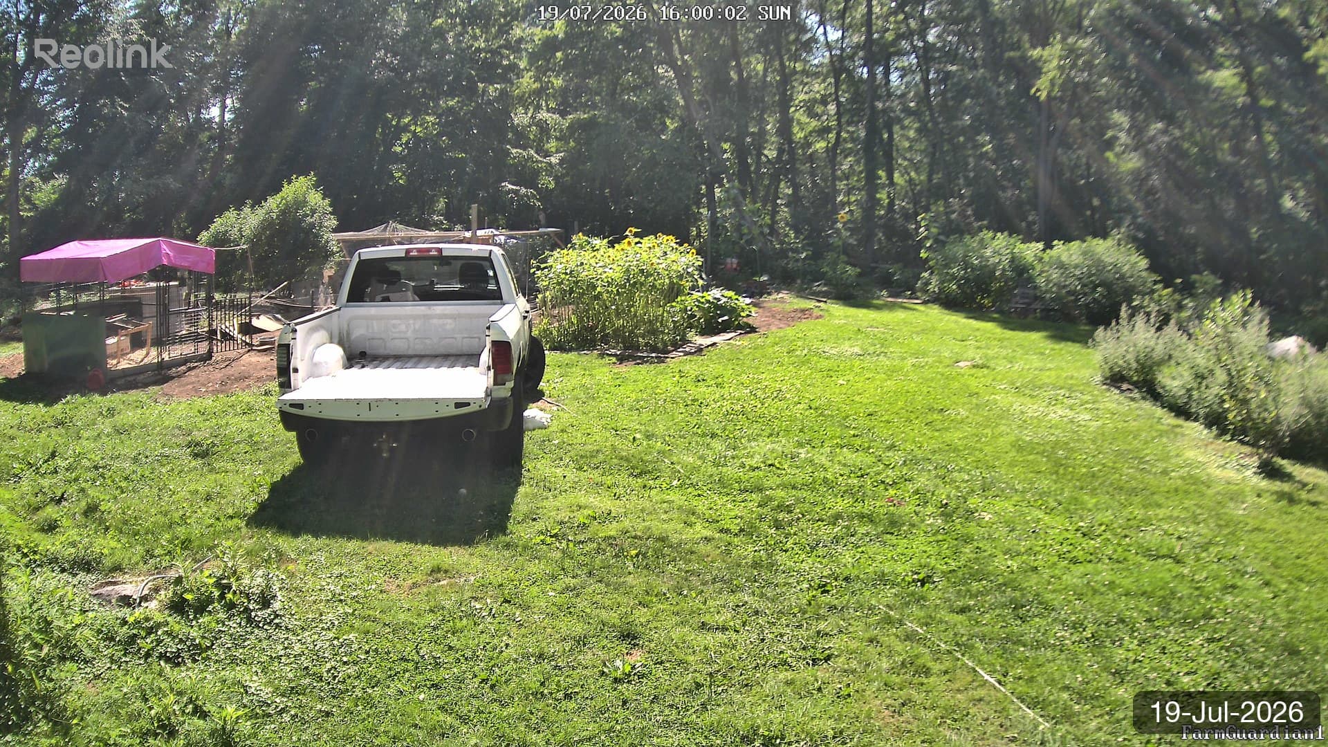 Yard on 19-Jul-2026, Evening