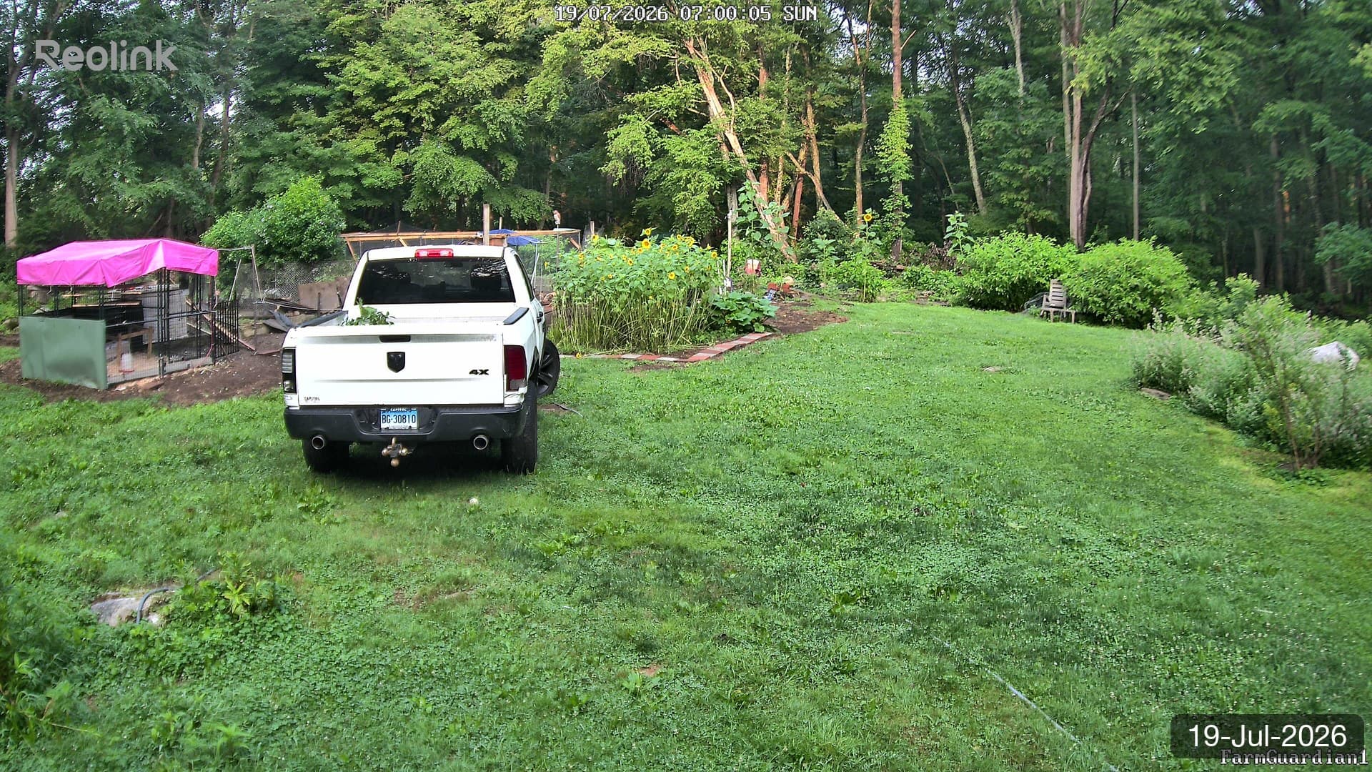 Yard on 19-Jul-2026, Morning
